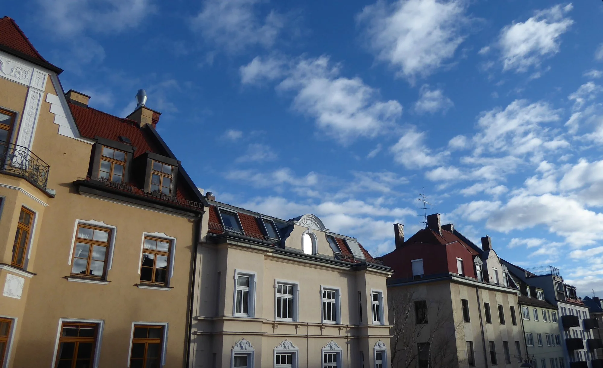 P1200281.webp