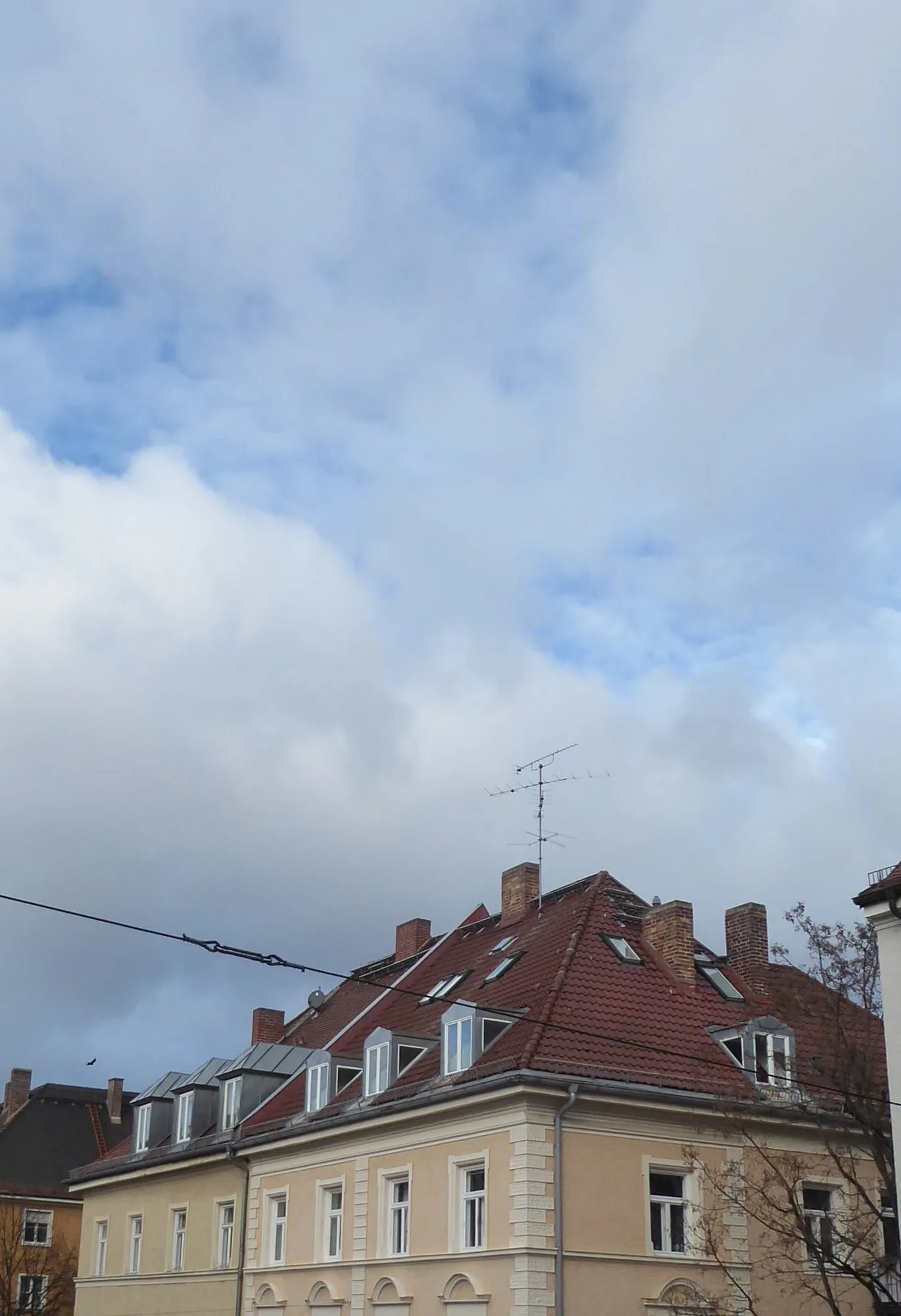 P1200286.webp
