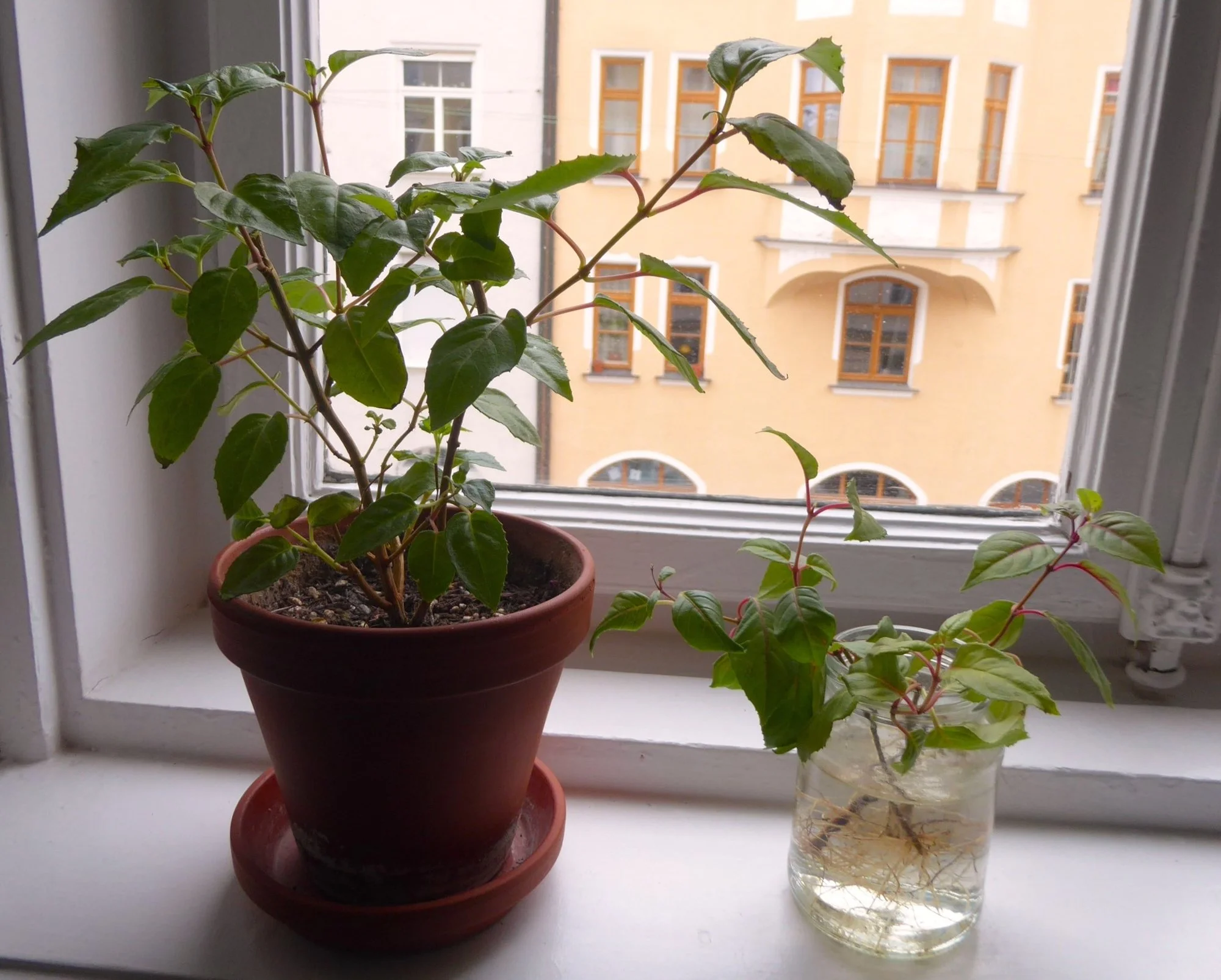 P1200378.webp