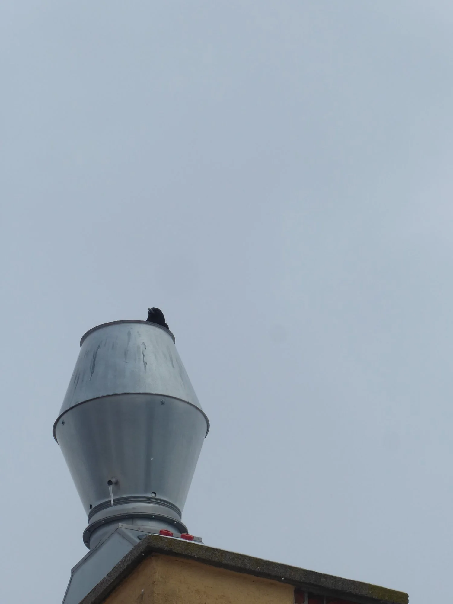 P1200411.webp