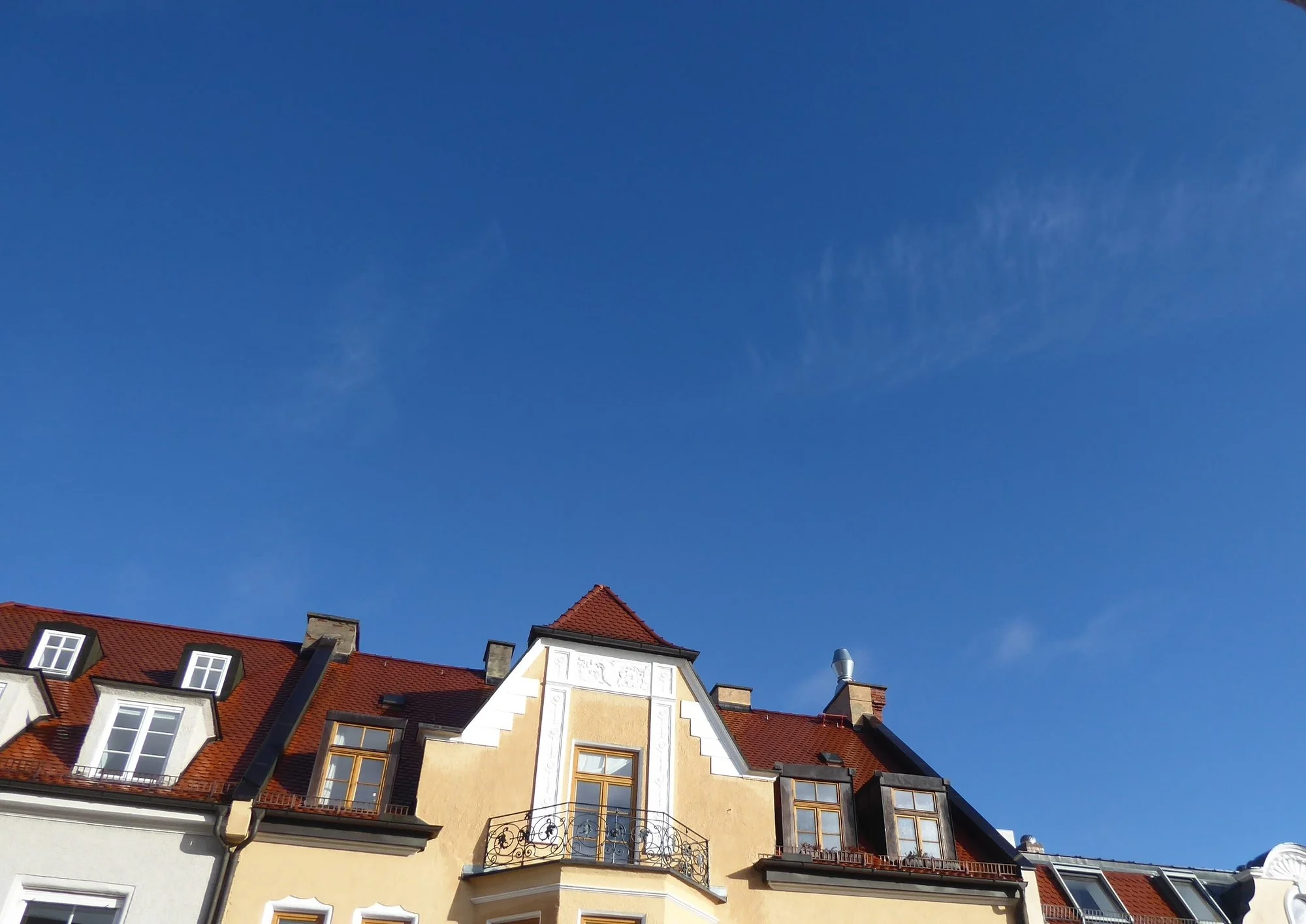 P1200460.webp