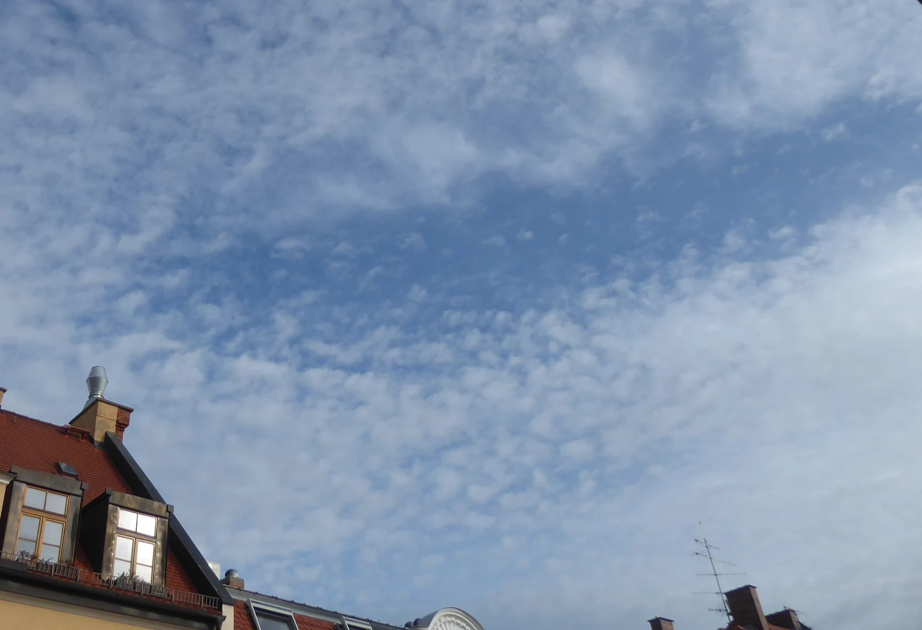 P1200470.webp
