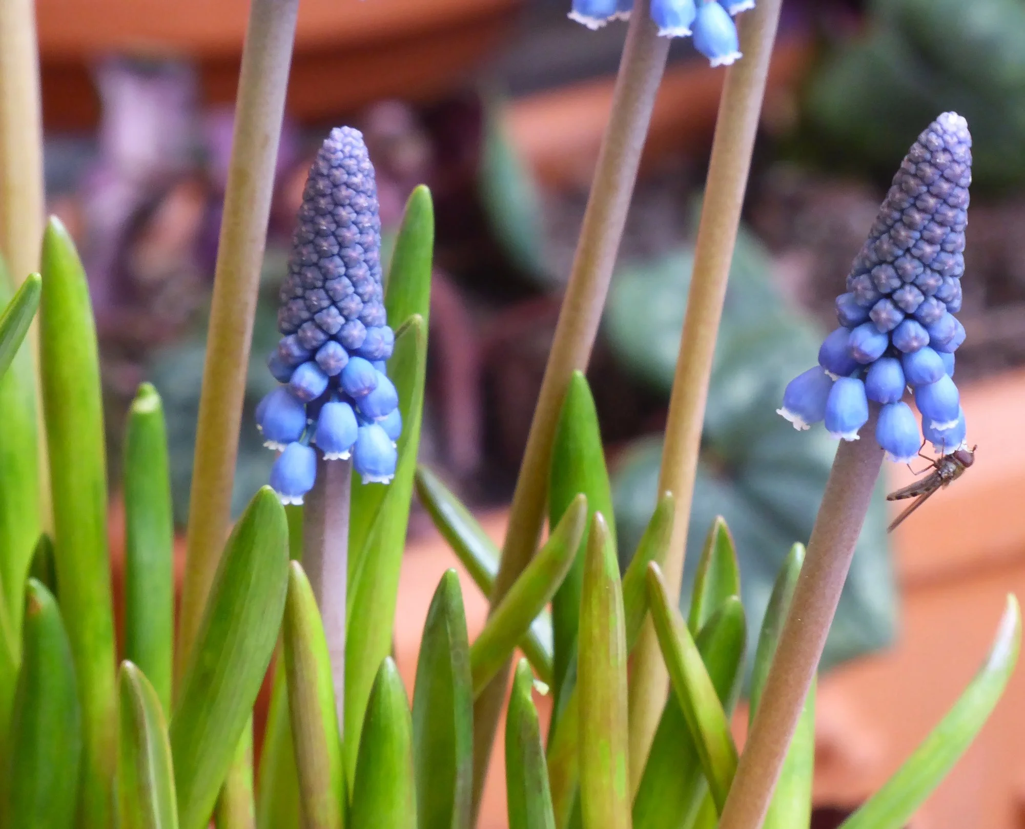 P1200571.webp