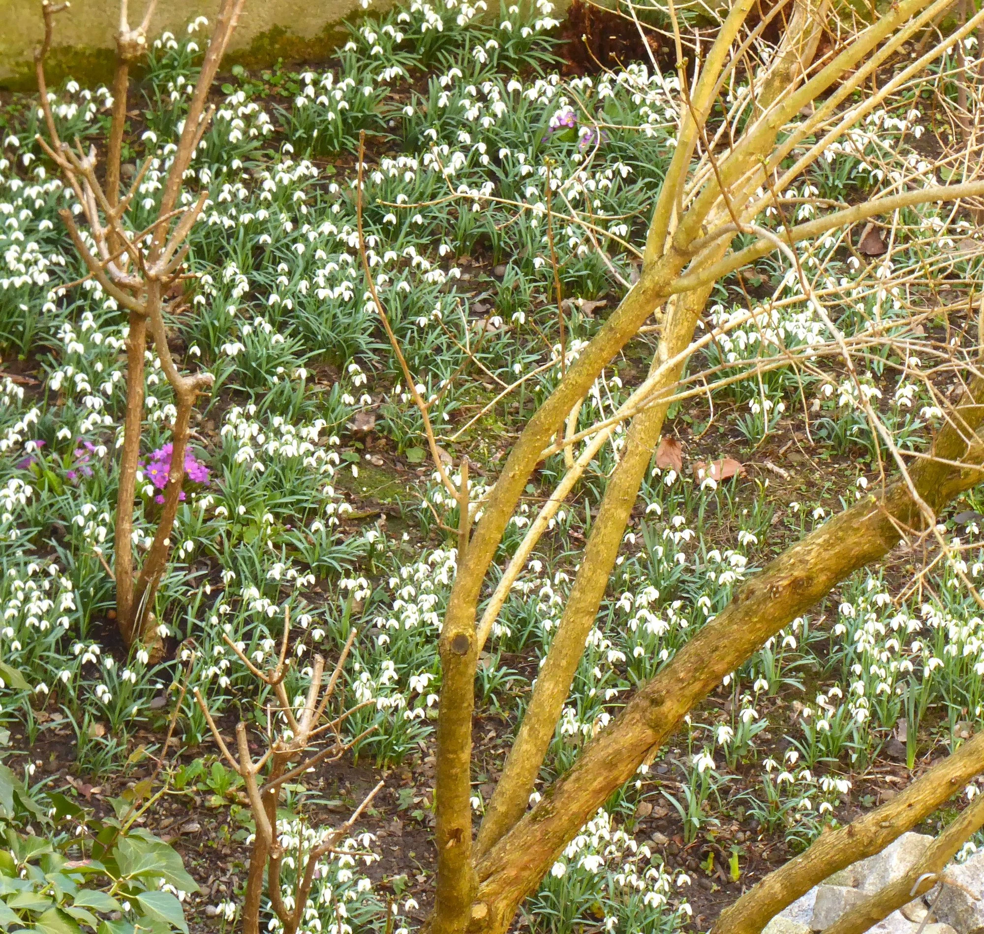 P1200804.webp