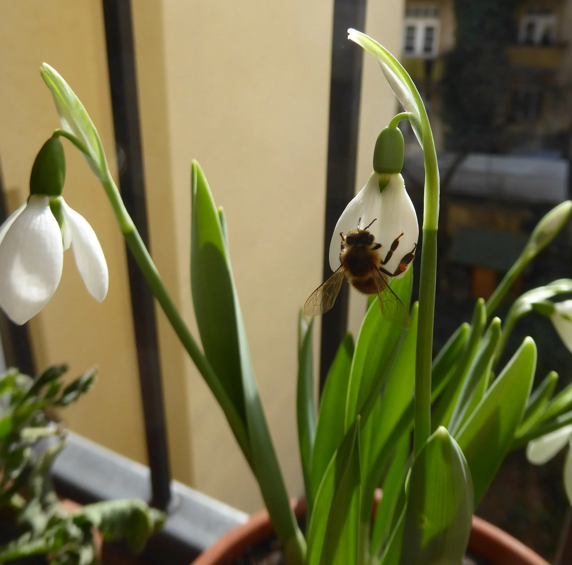 P1200807.webp