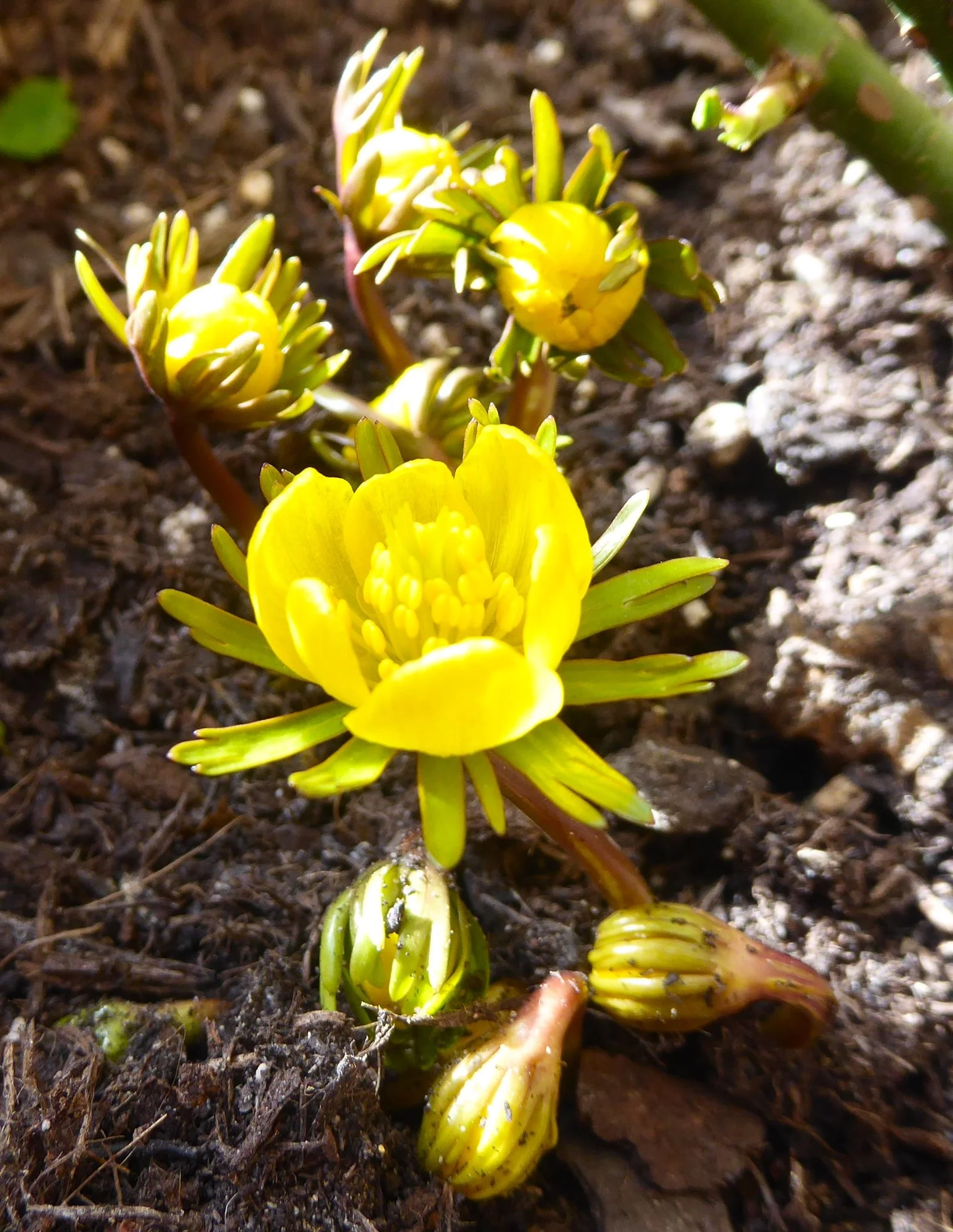 P1200813.webp