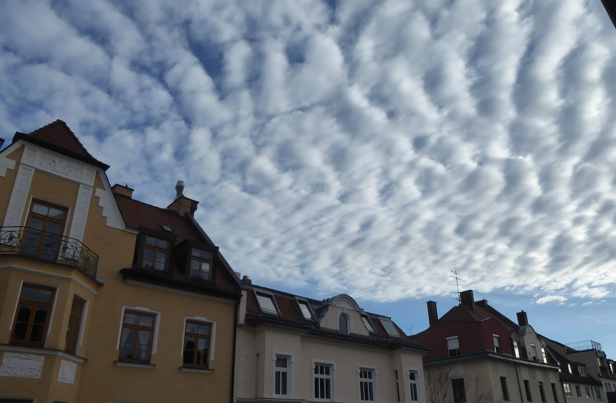 P1200871.webp