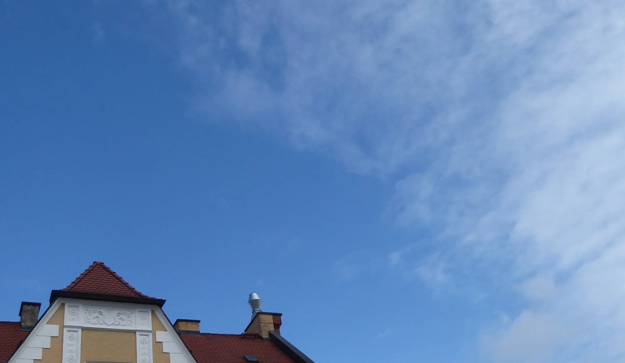 P1200887.webp