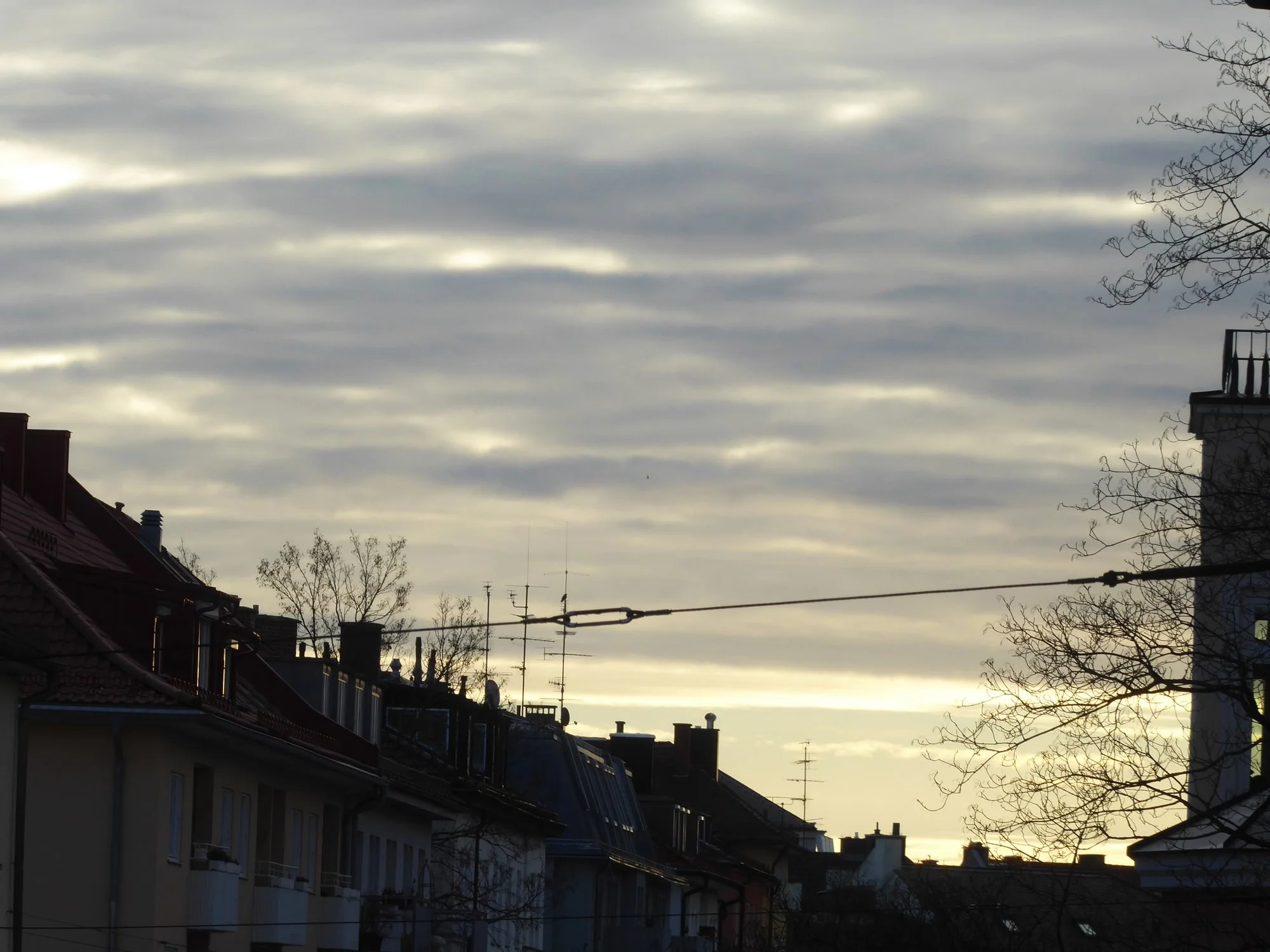 P1200936.webp