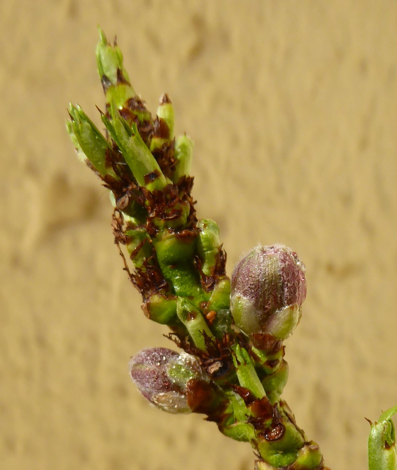 P1200970.webp