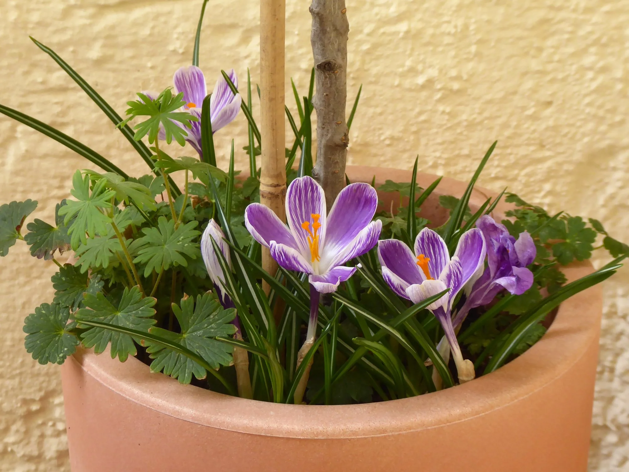 P1210217.webp