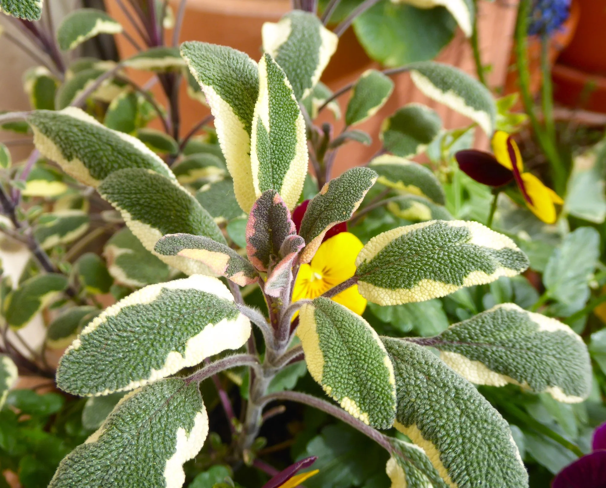 P1210218.webp