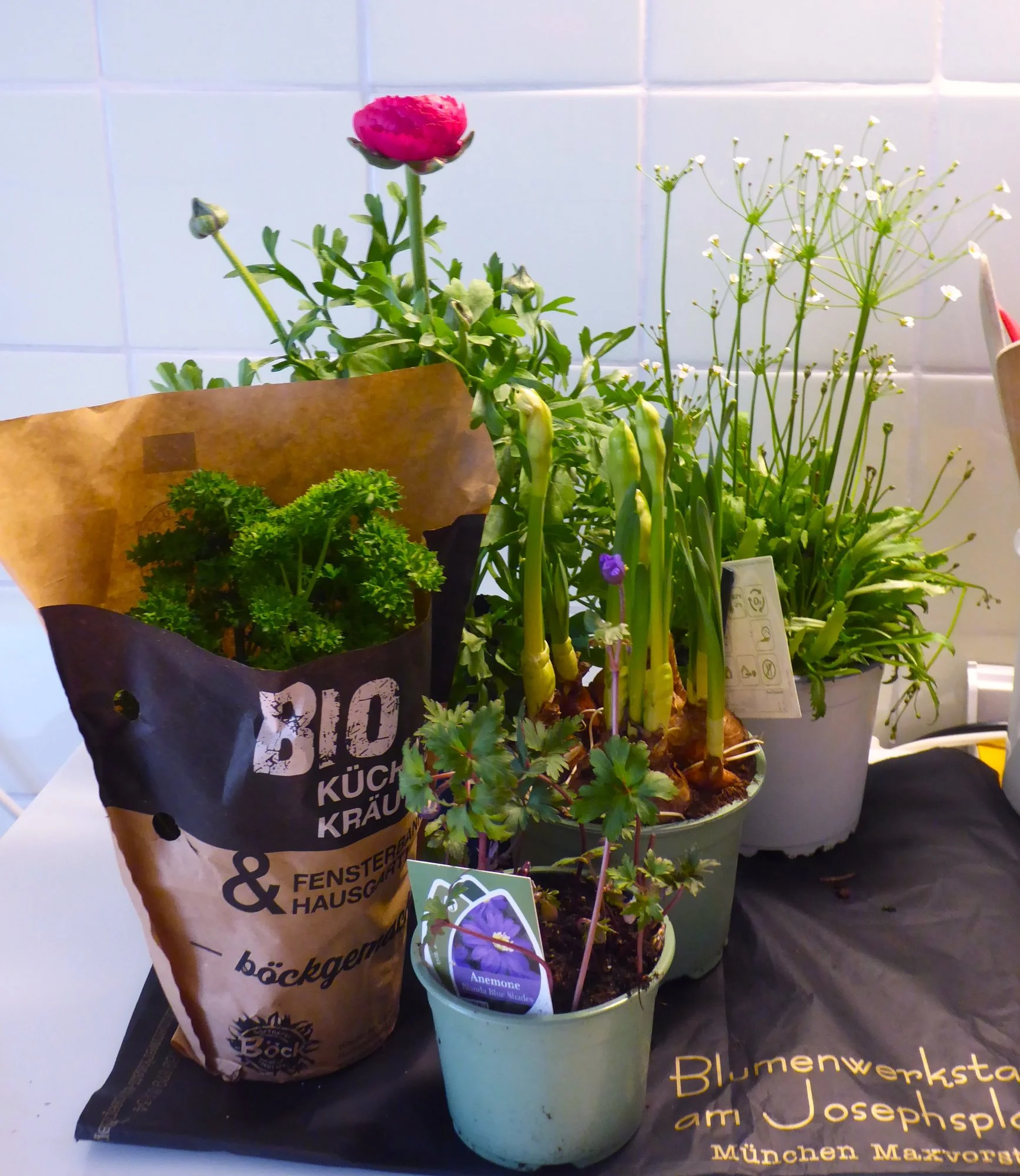 P1210234.webp