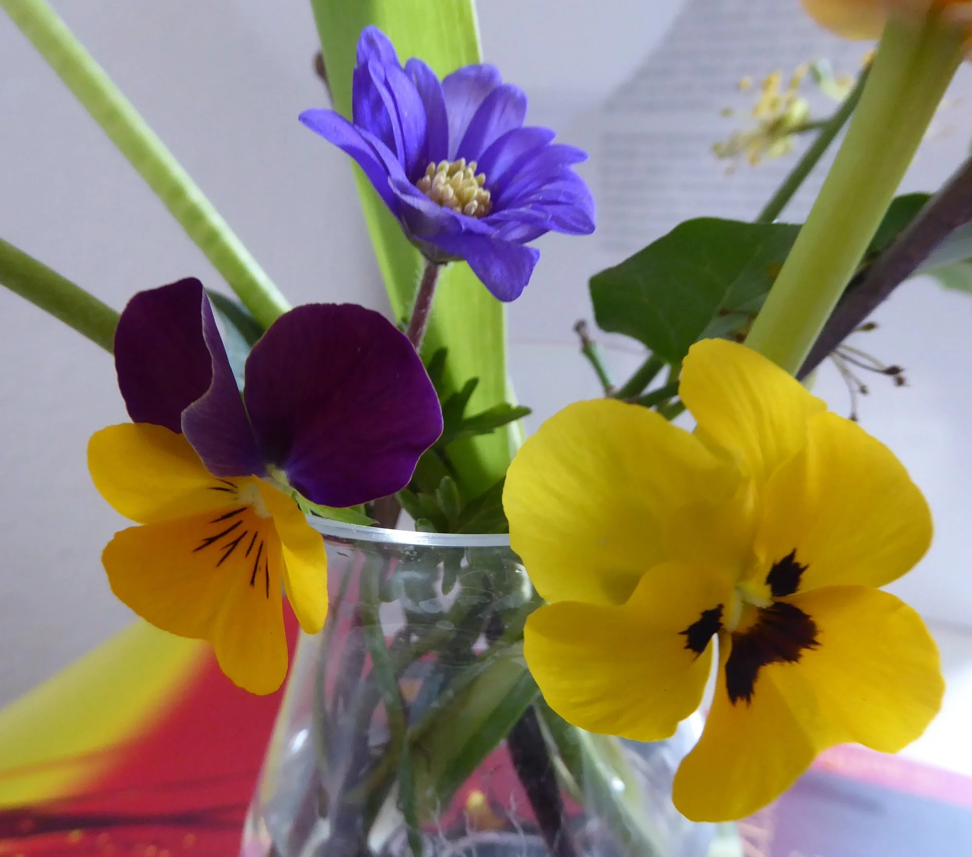 P1210251.webp