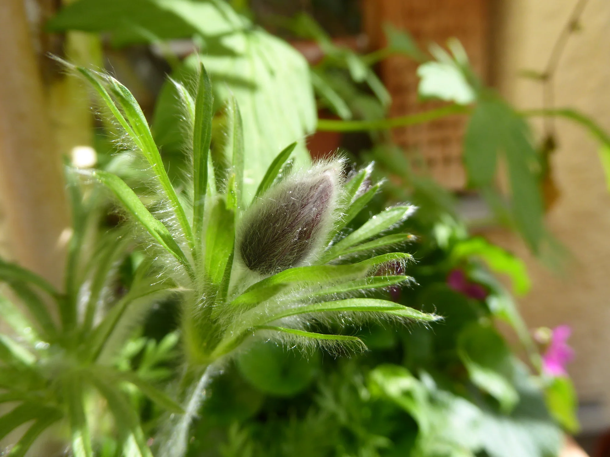 P1210285.webp