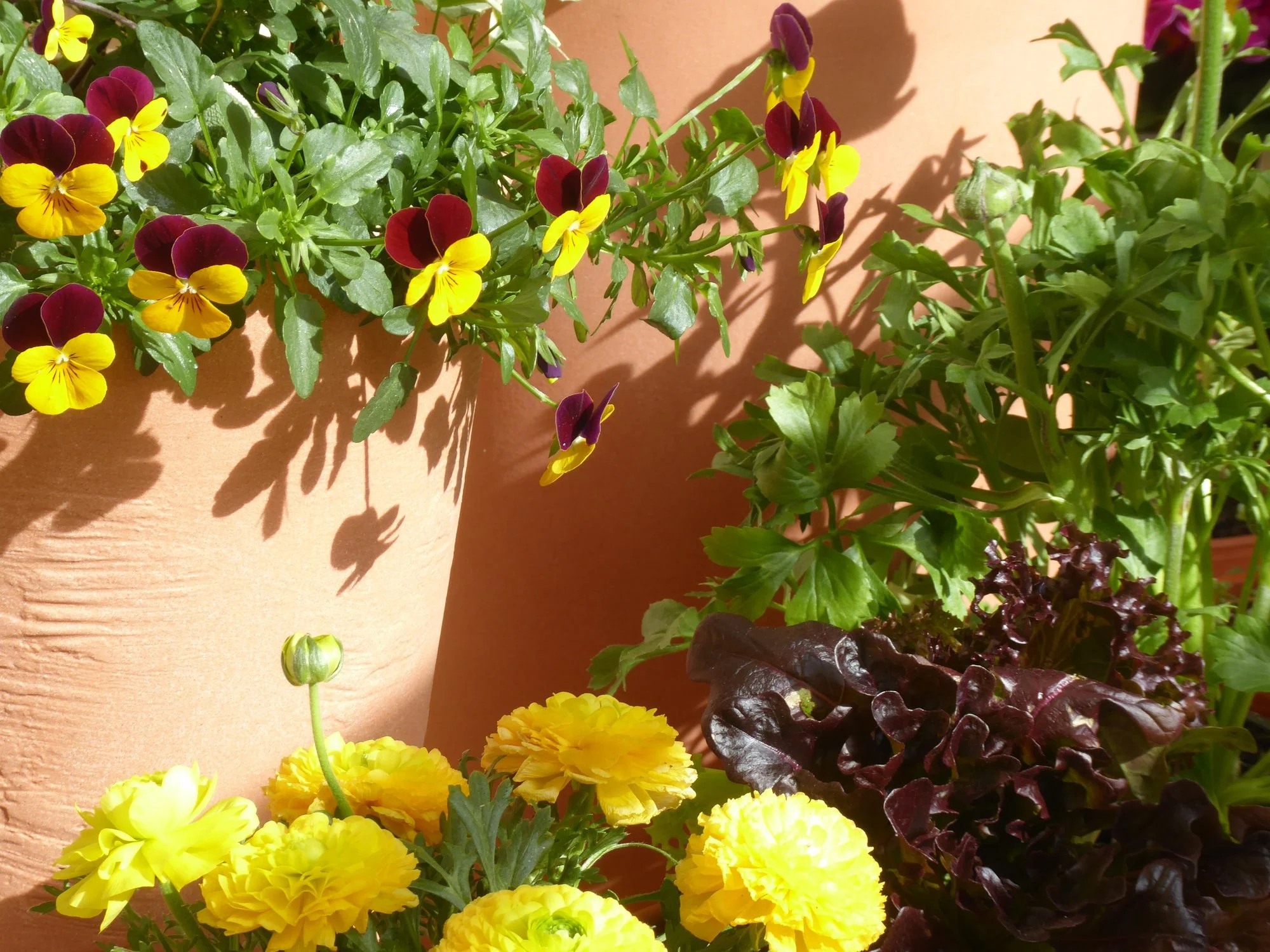 P1210299.webp
