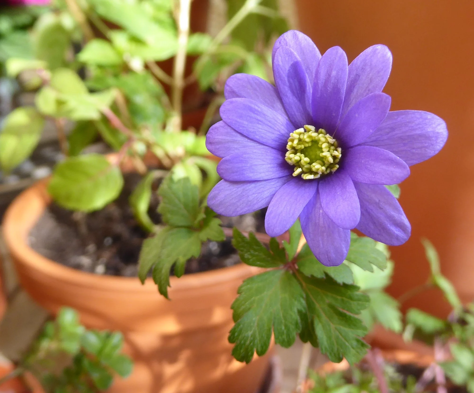 P1210305.webp