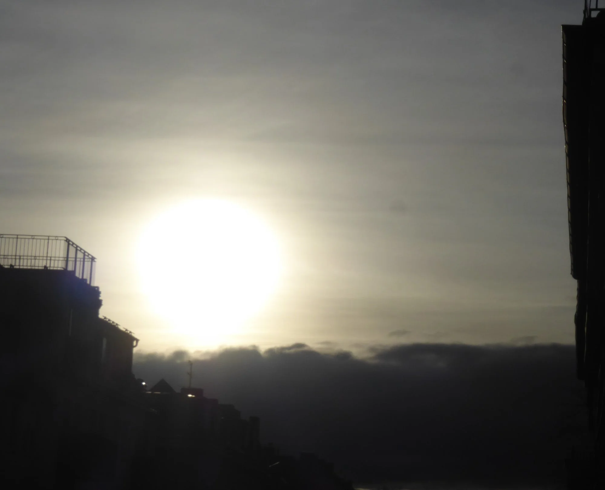 P1210319.webp