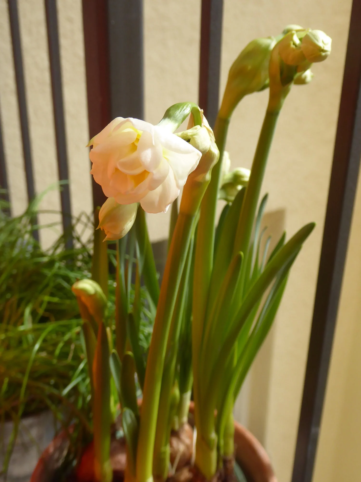 P1210350.webp