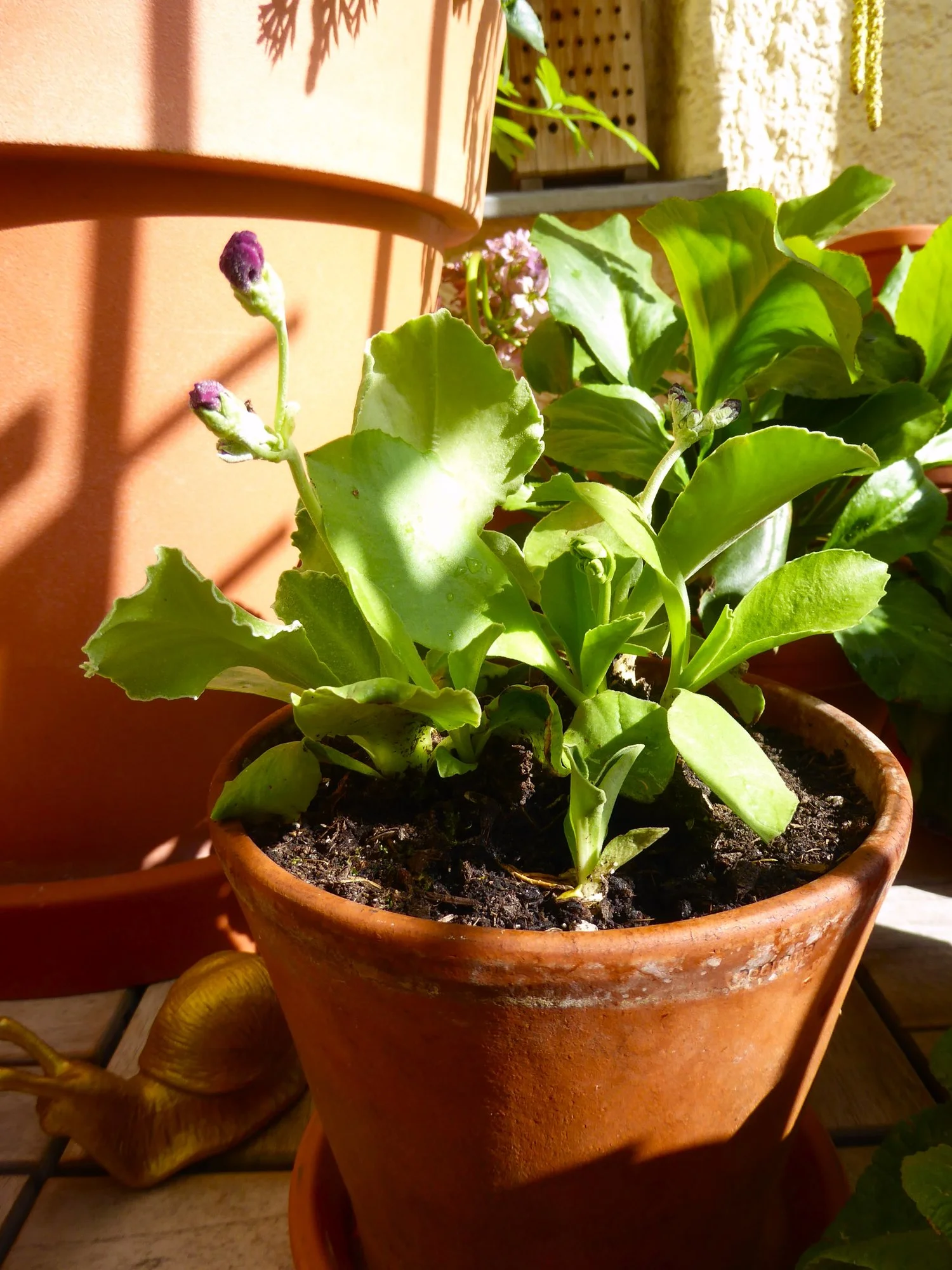 P1210432.webp