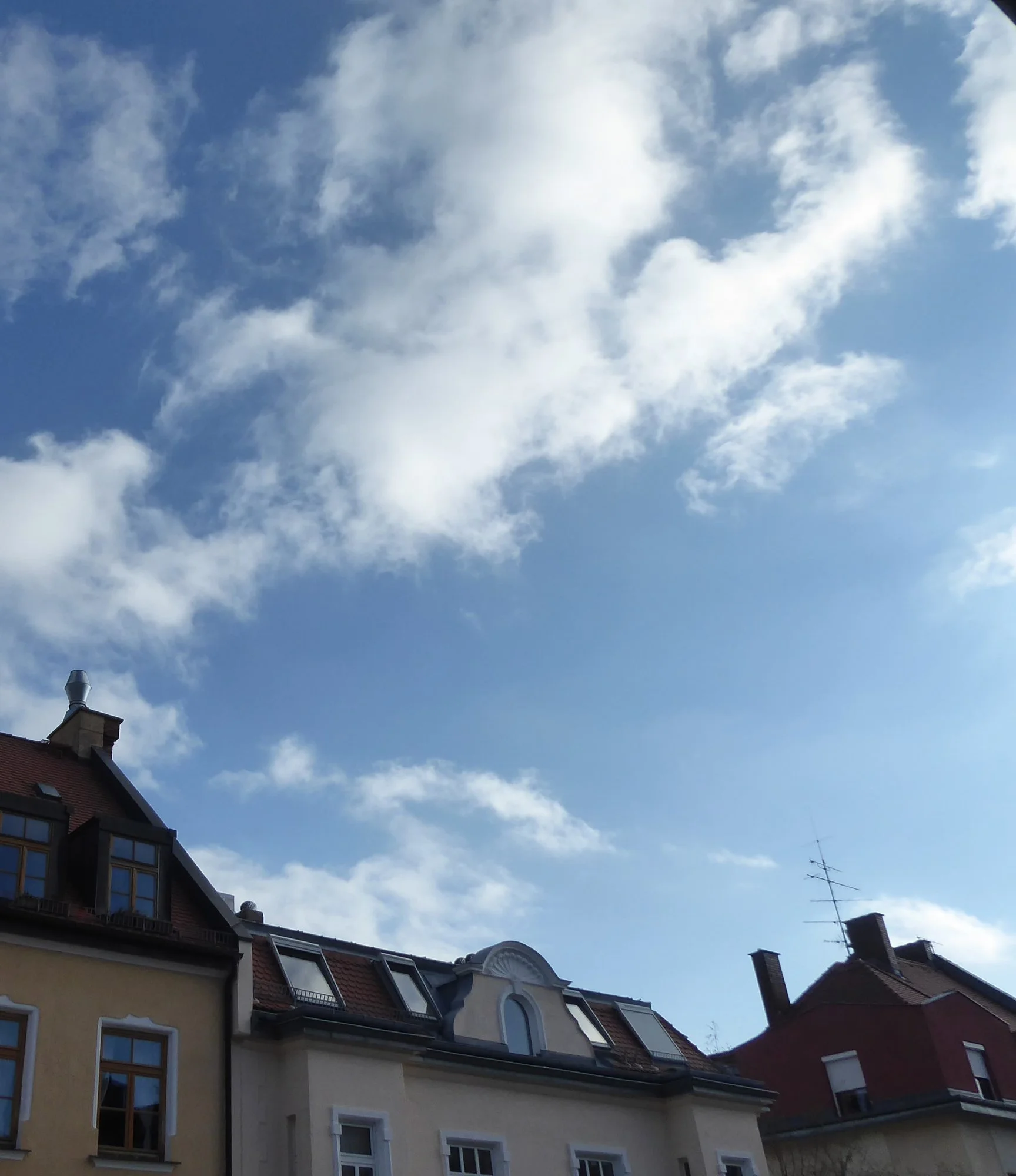 P1210442.webp