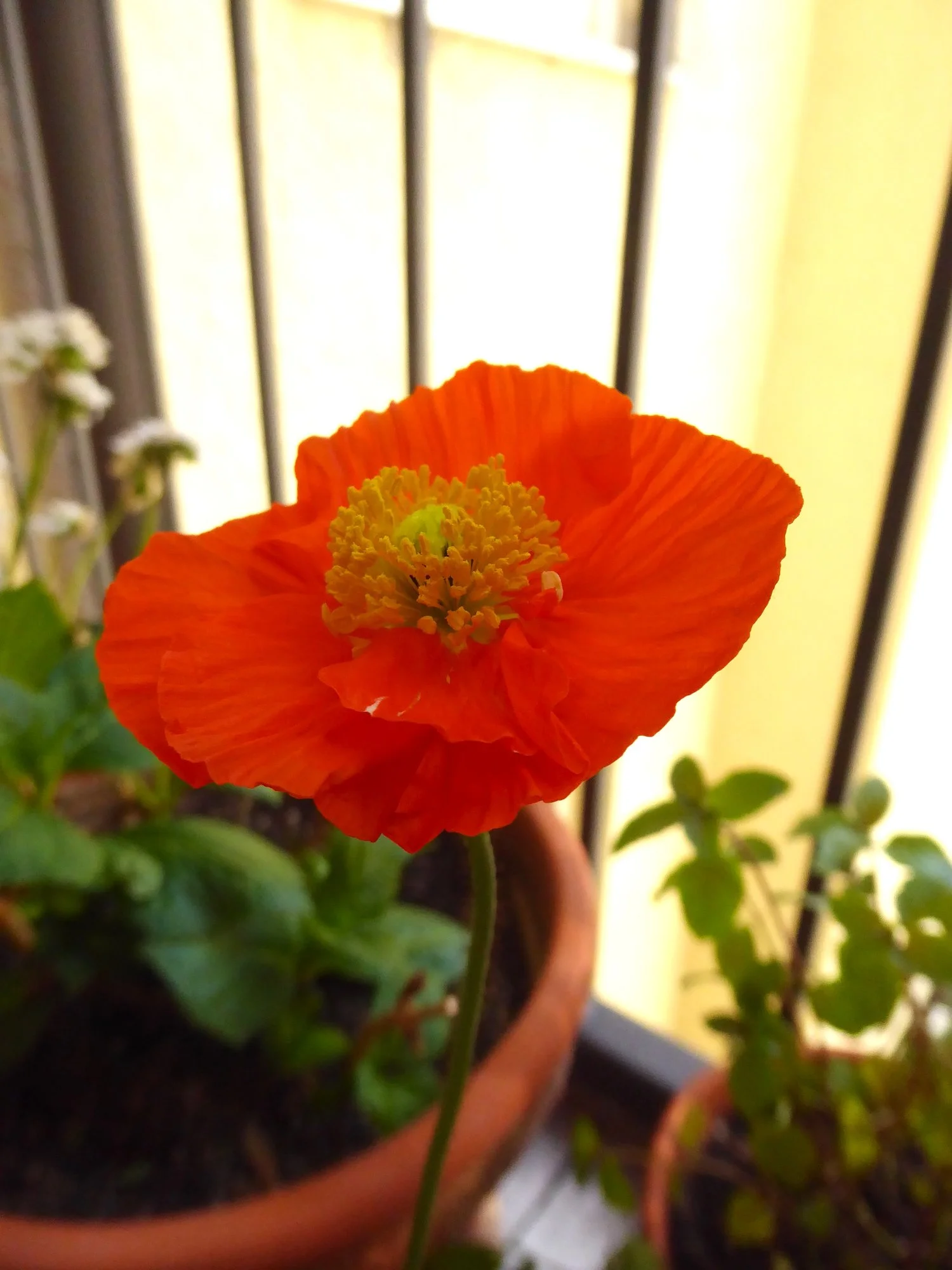 P1210454.webp