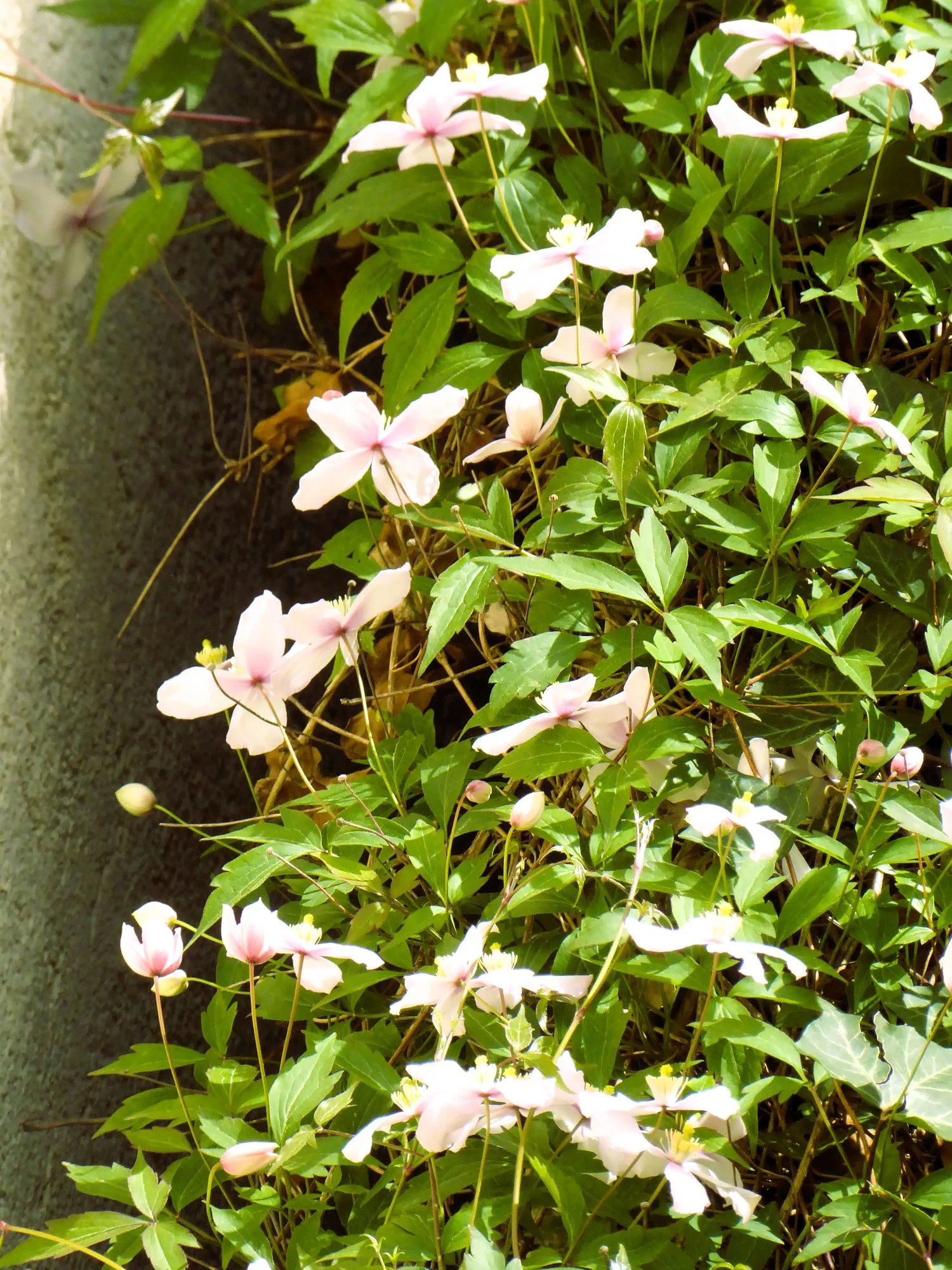 P1210773.webp