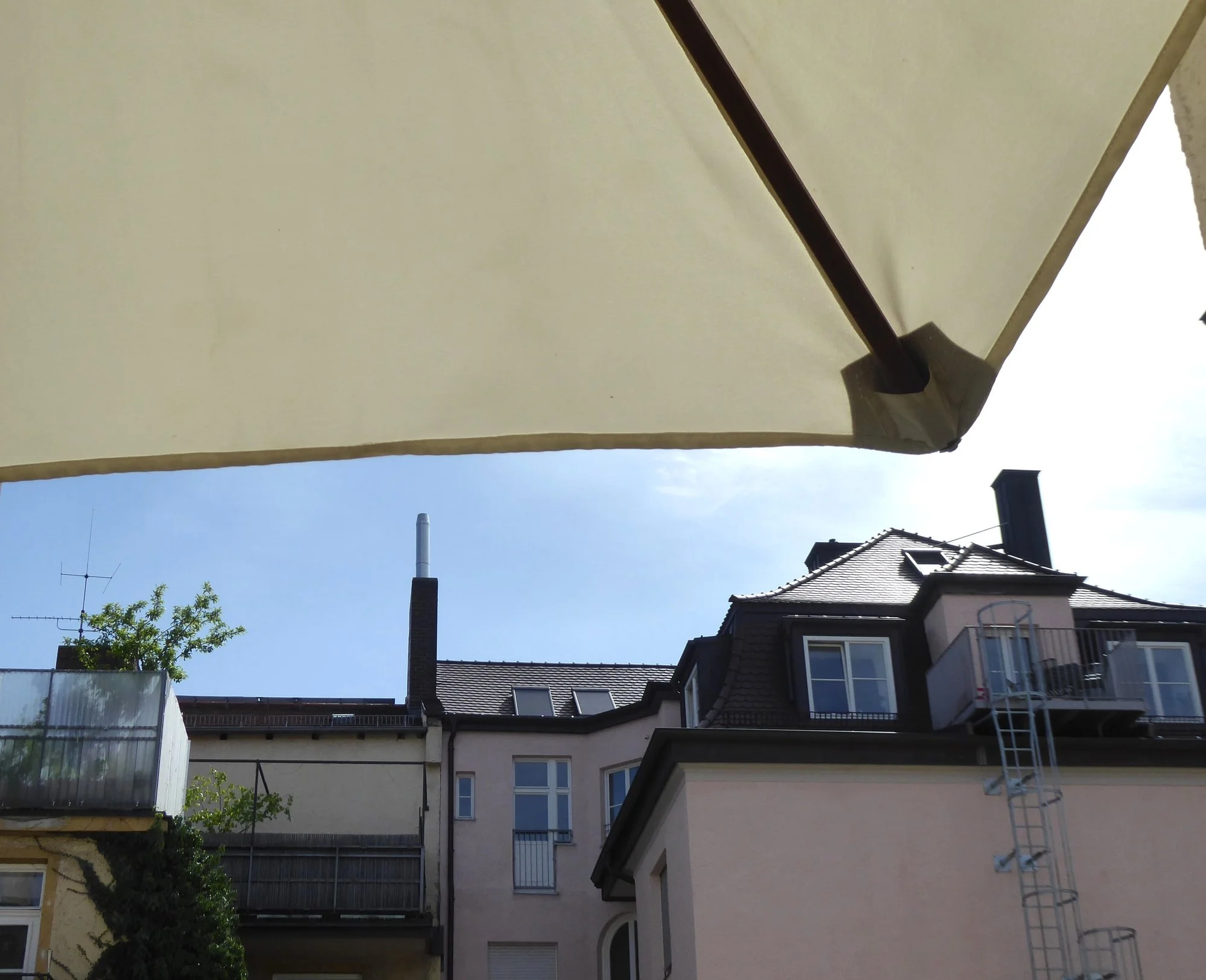 P1210890.webp