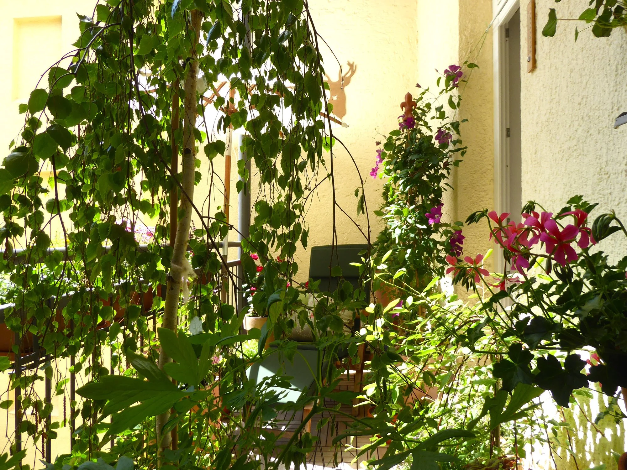 P1220106.JPG