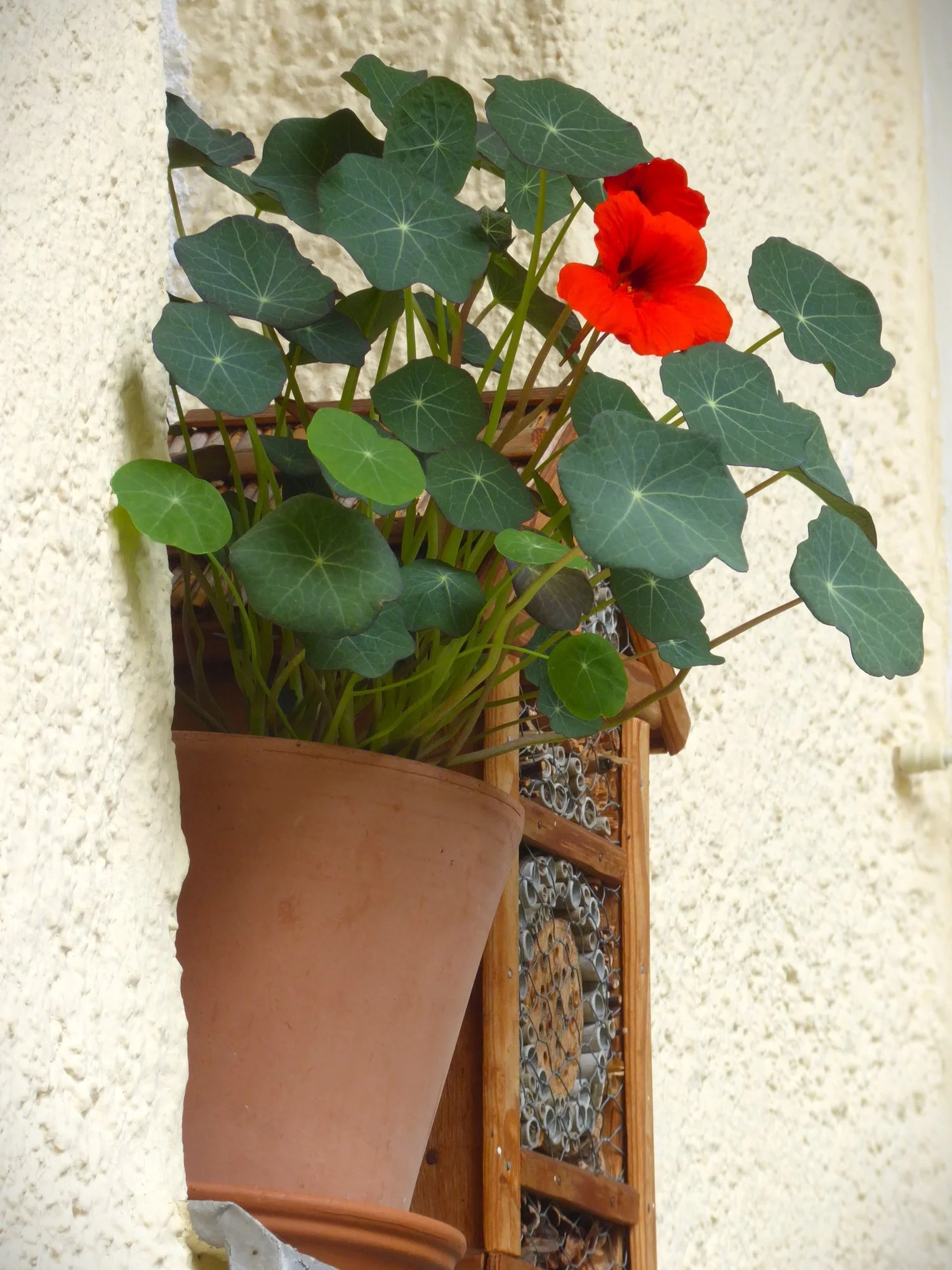 P1220110.webp