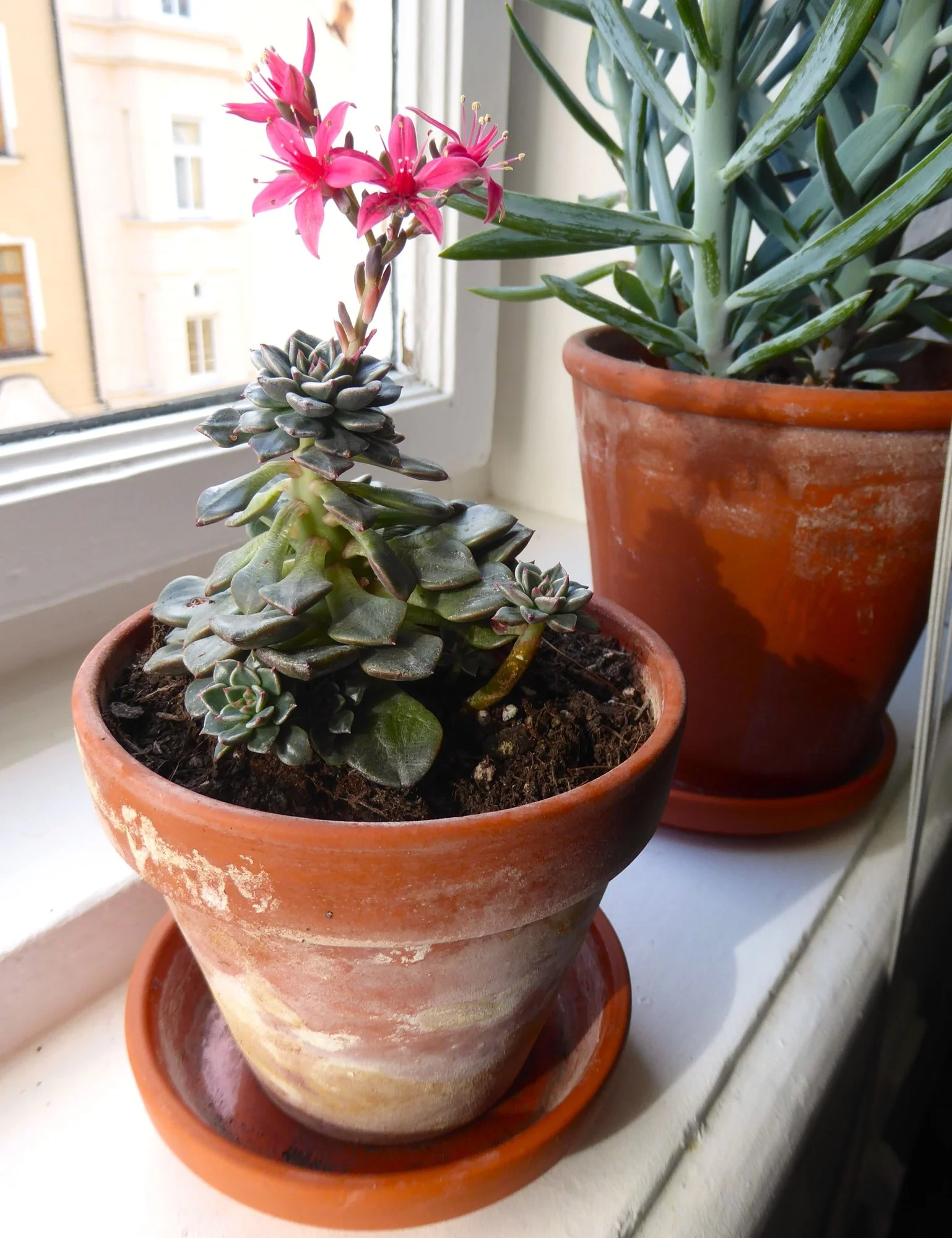 P1220124.webp