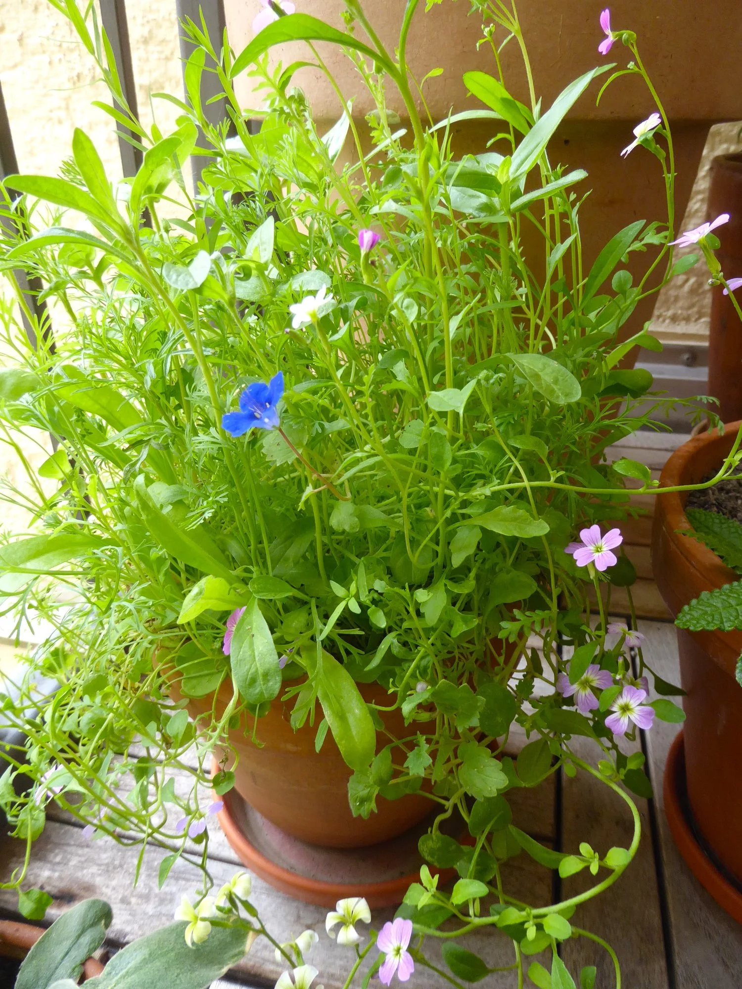 P1220290.webp