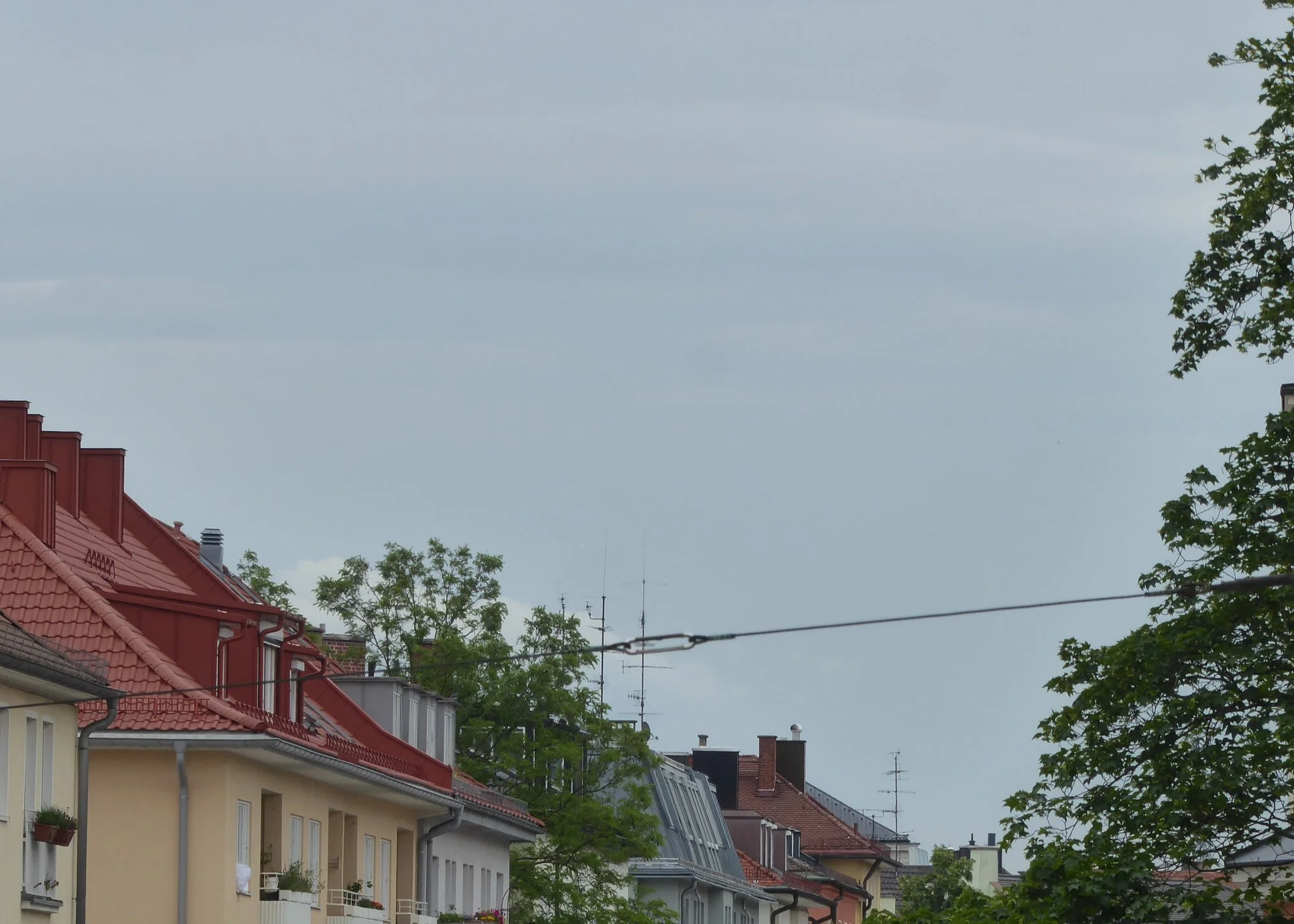 P1220293.webp