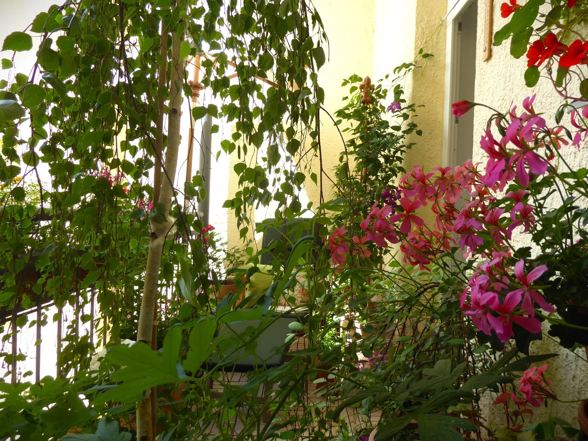 P1220323.webp