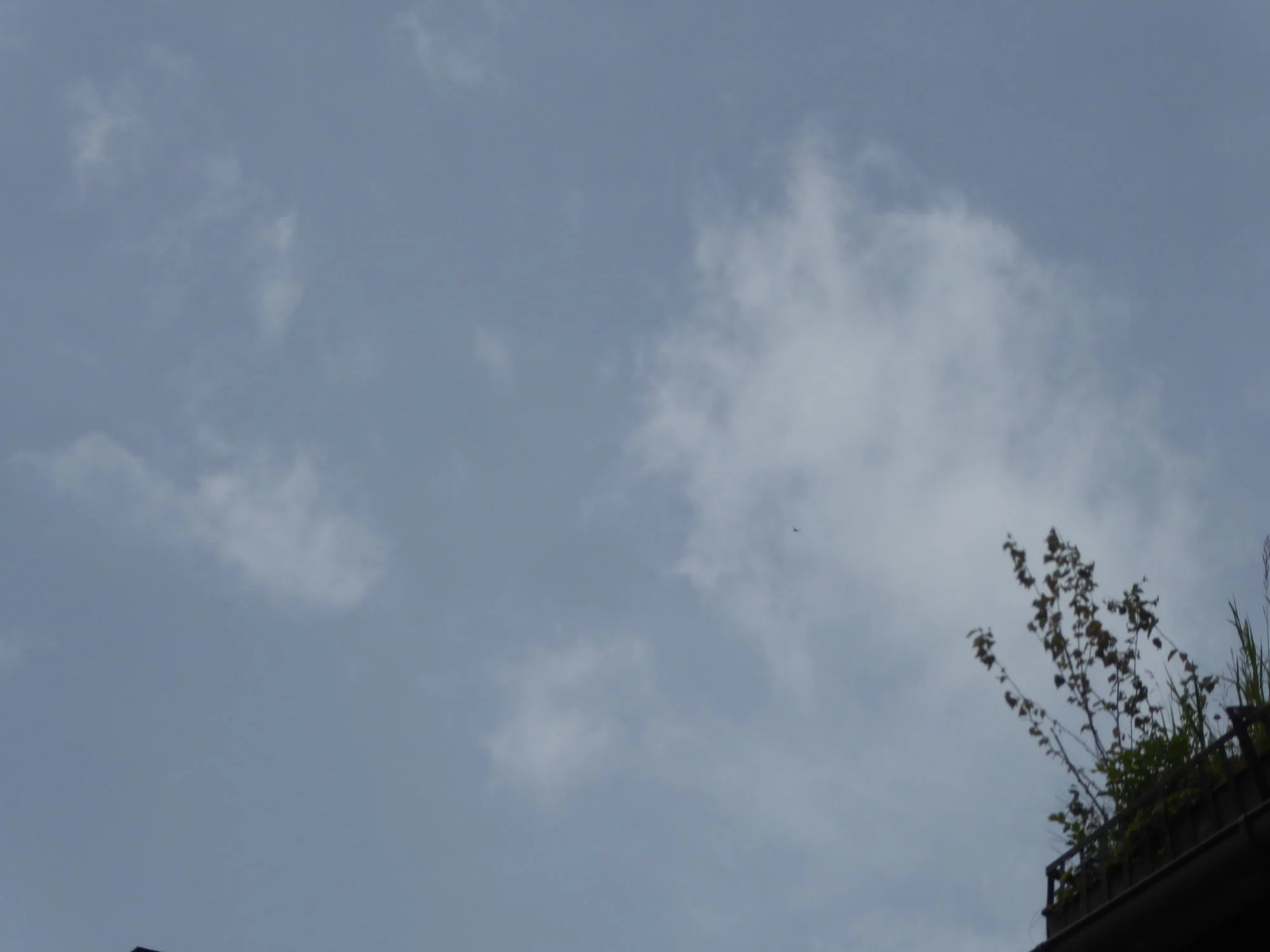 P1220387.webp