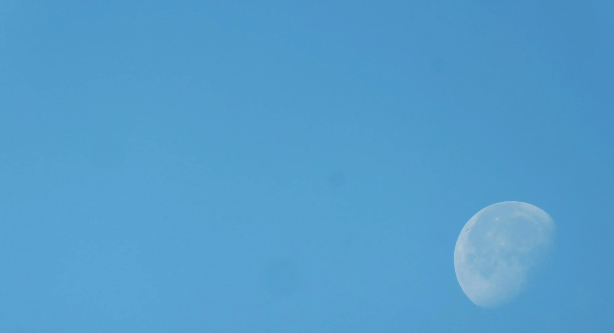 P1220439.webp