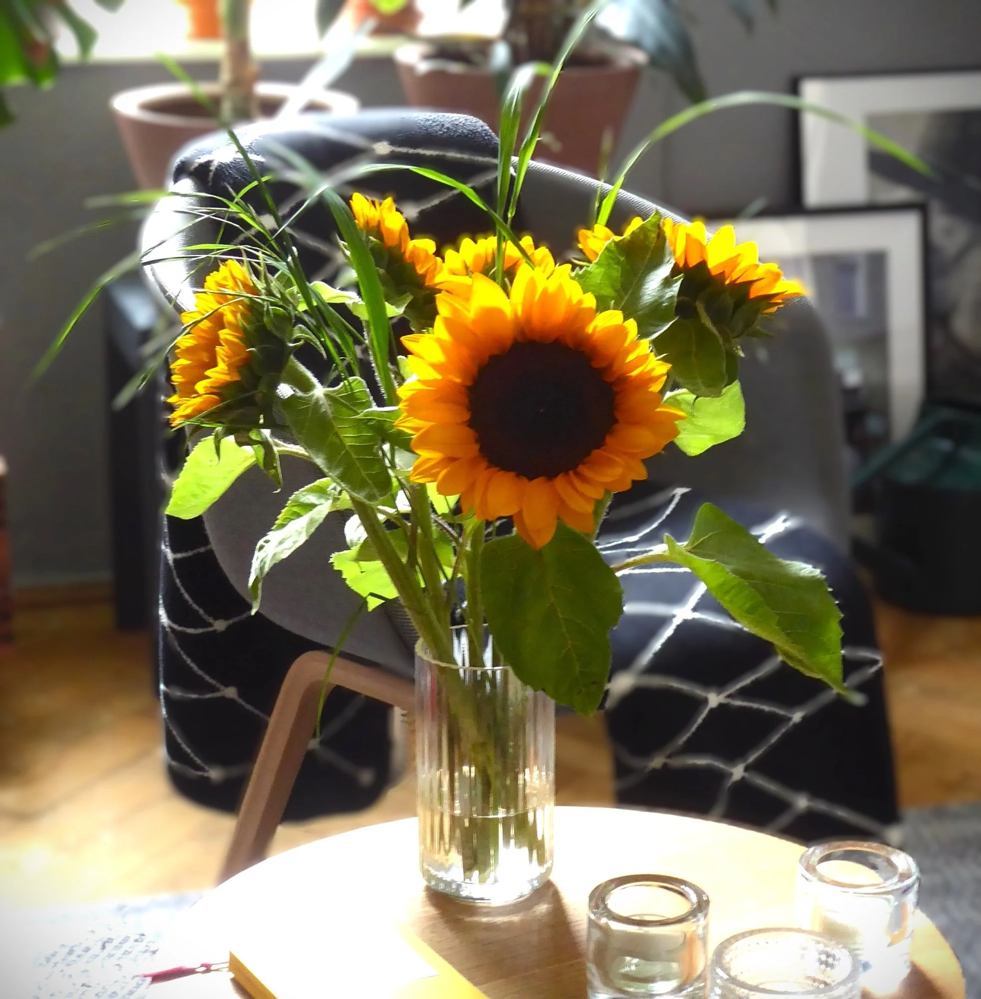 P1220464.webp