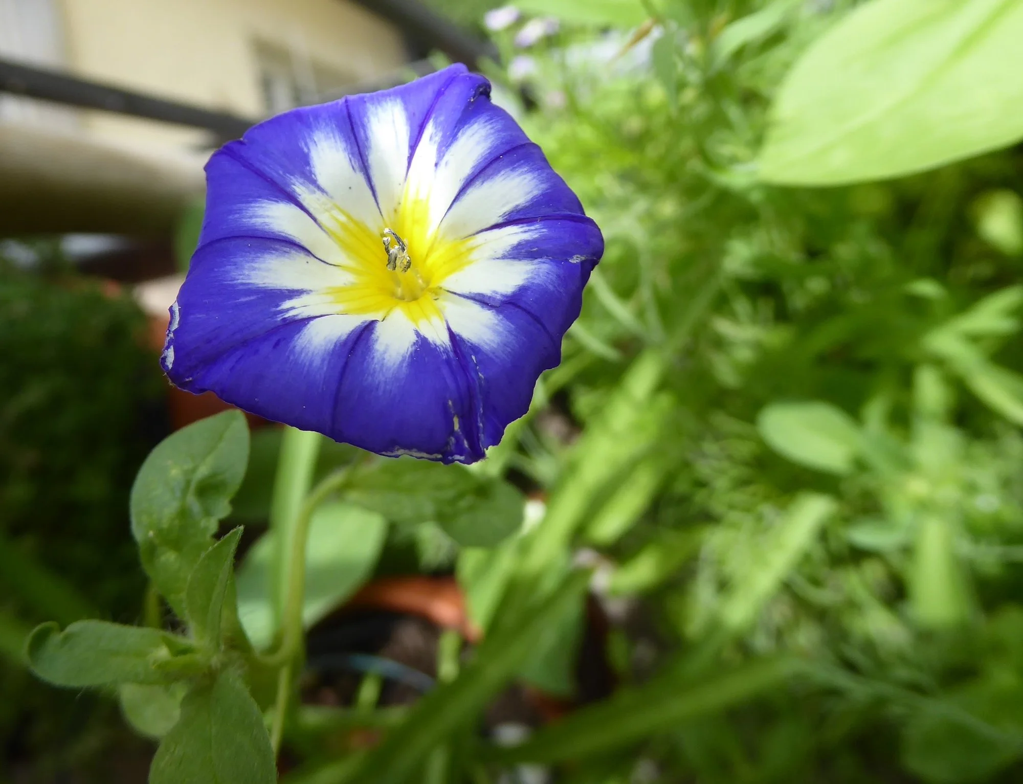 P1220477.webp