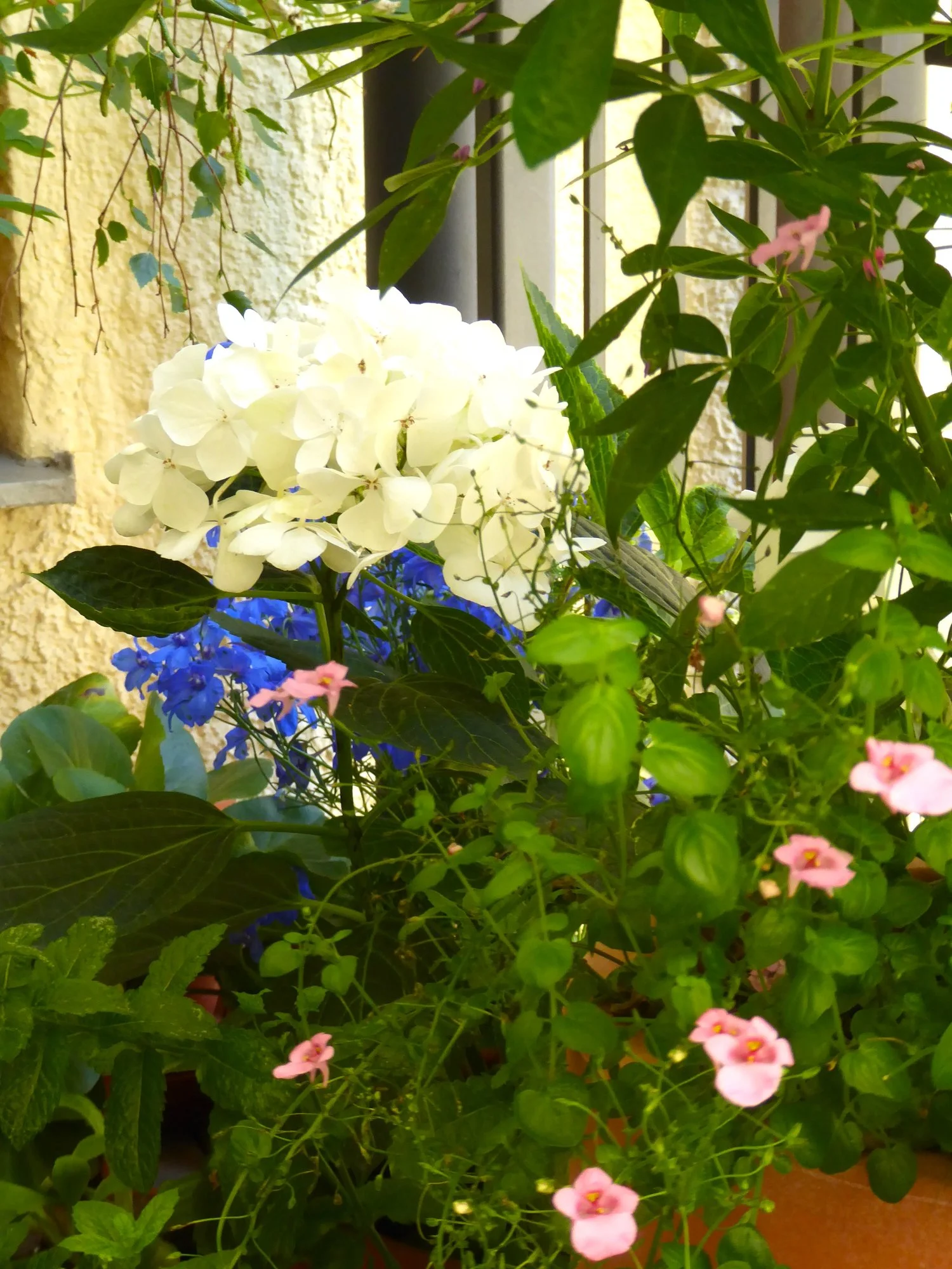 P1220537.webp