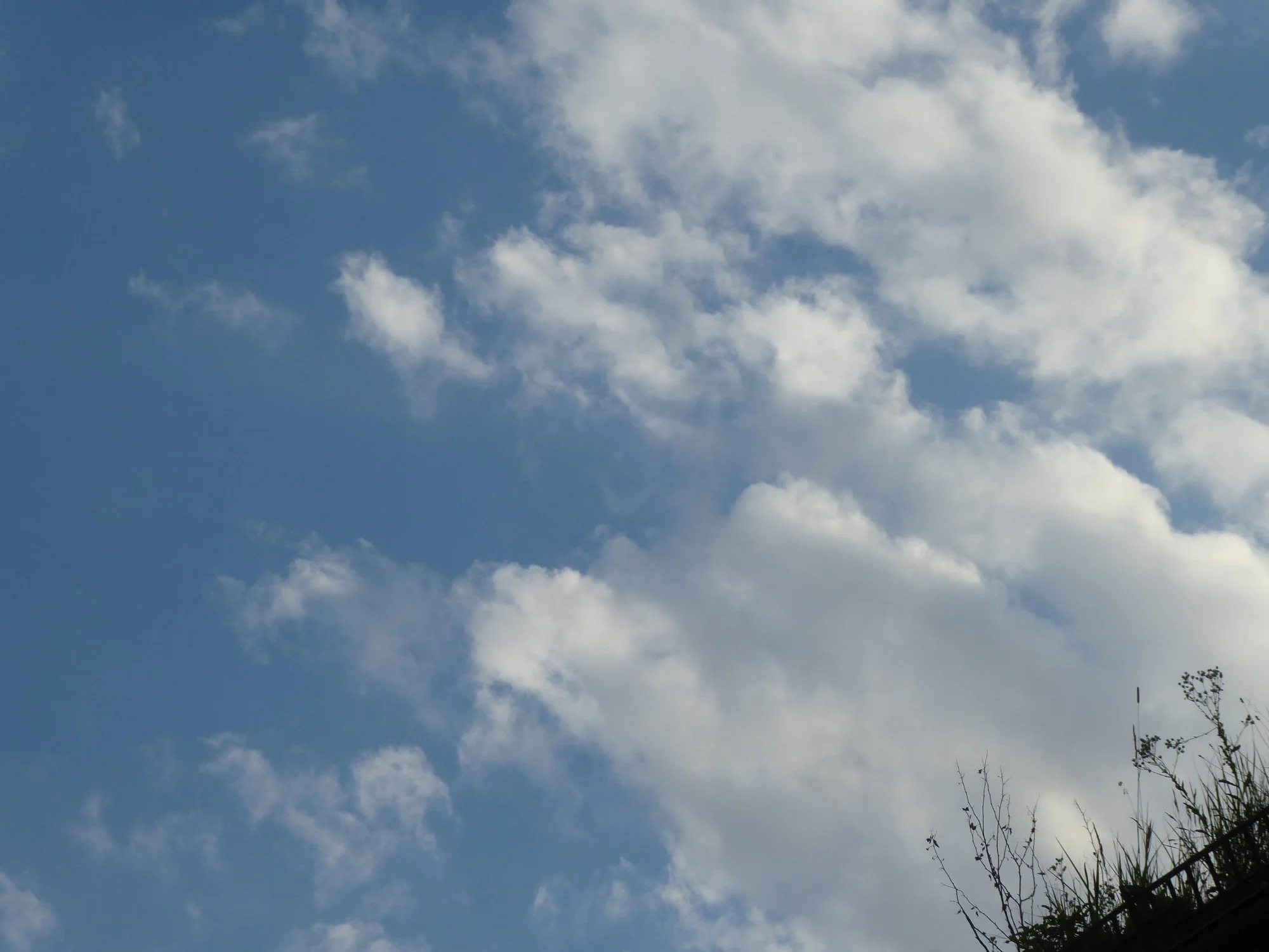 P1220563.webp