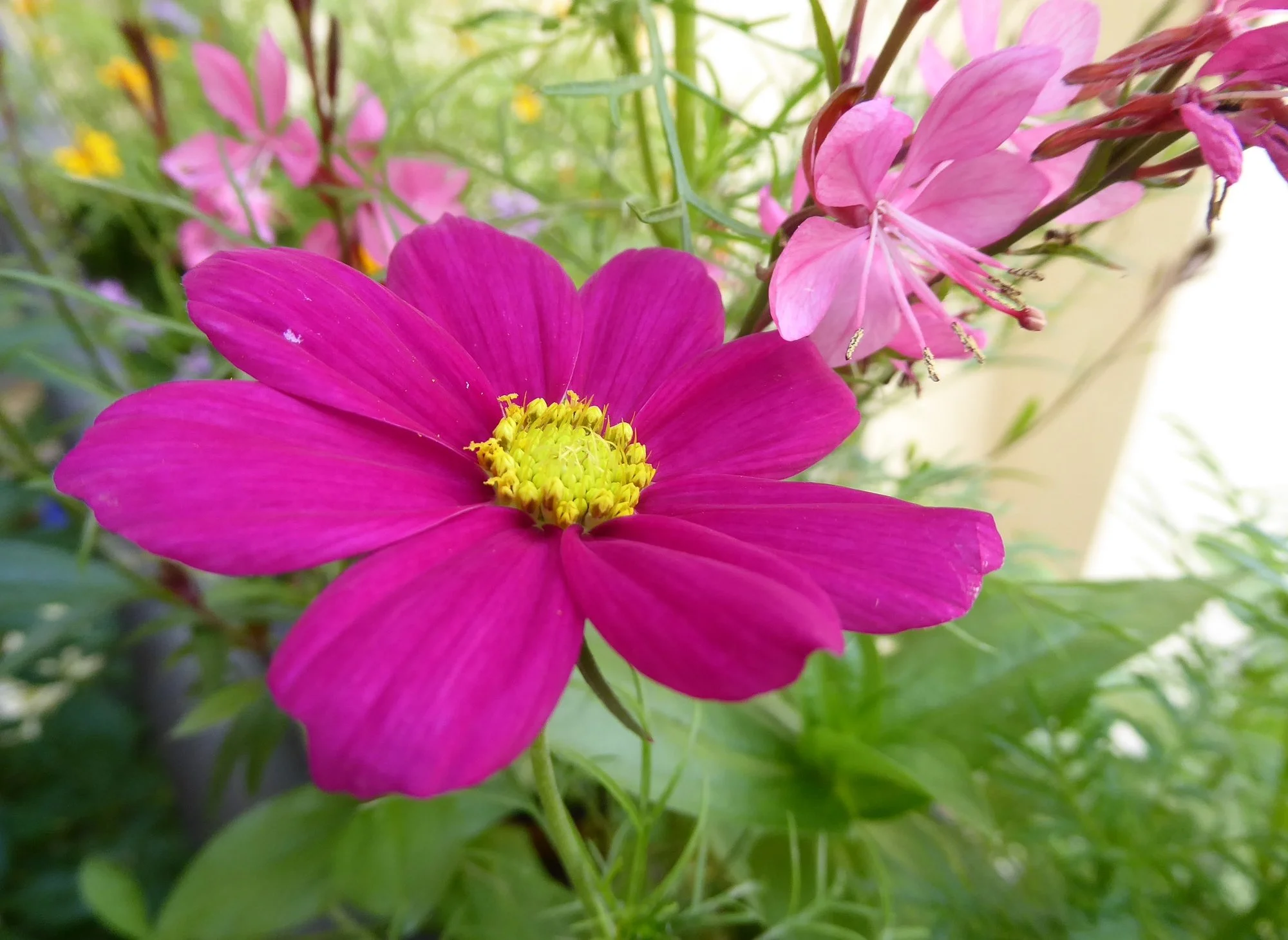 P1220570.webp