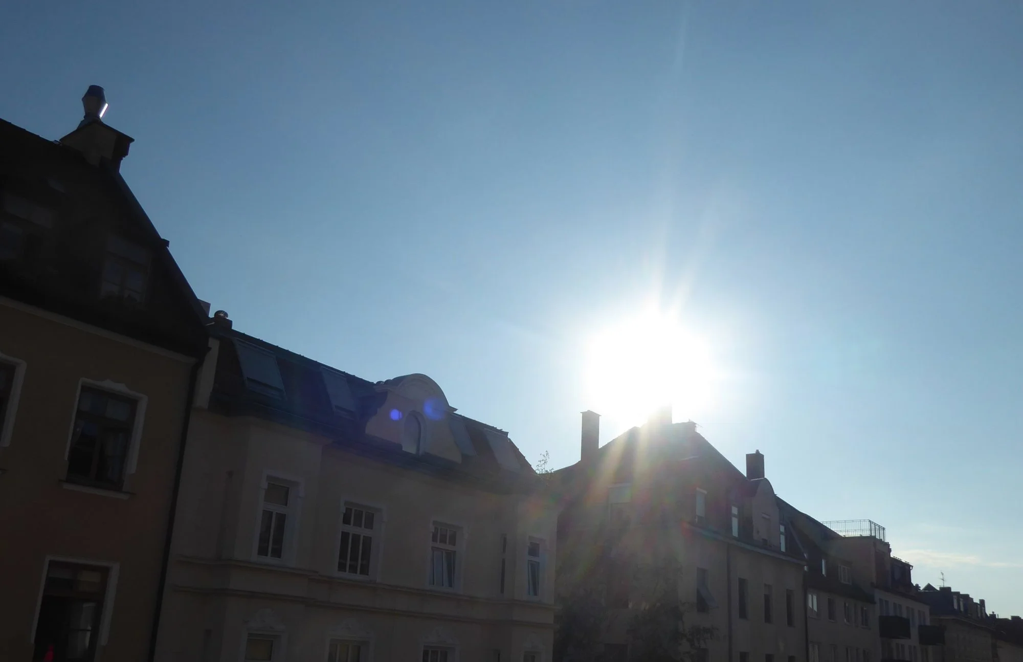P1220730.webp