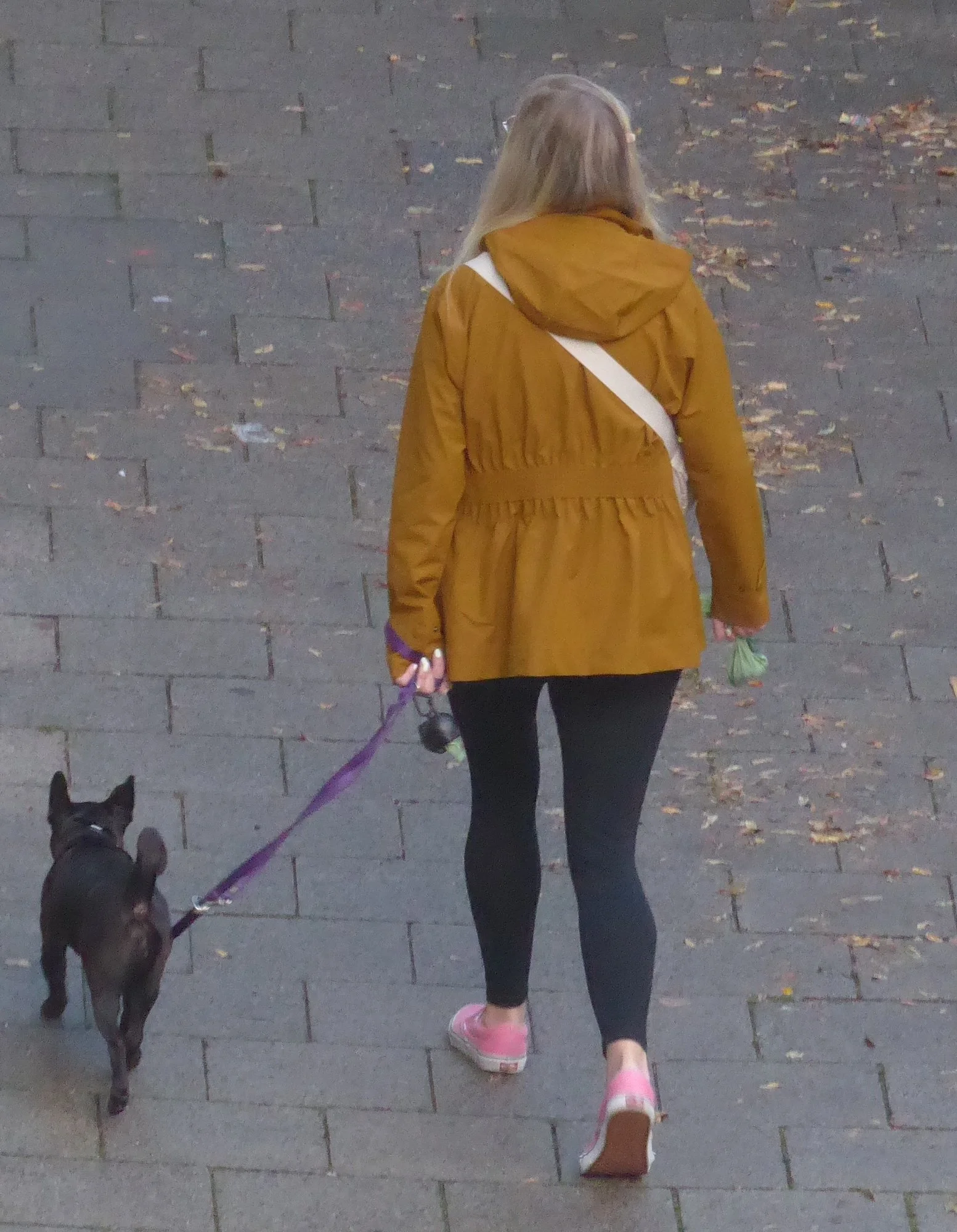P1220738.webp