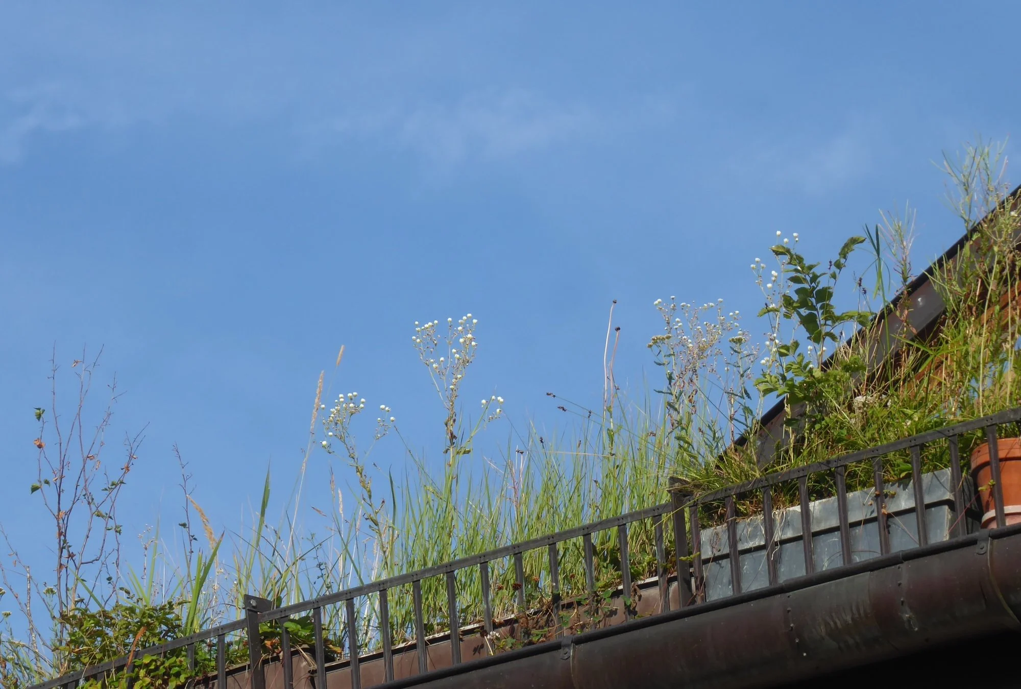 P1220752.webp