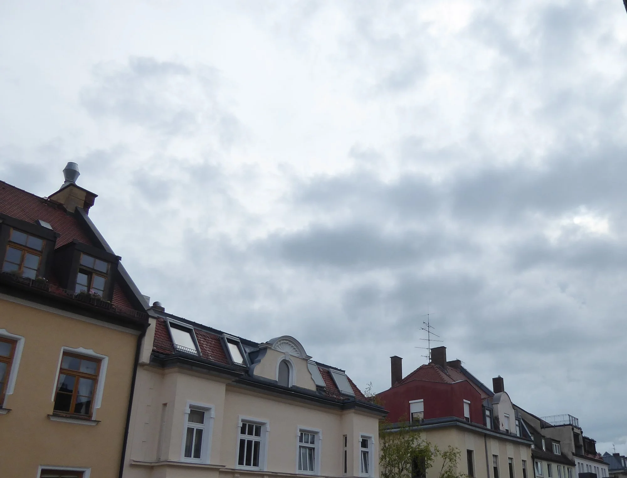 P1220853.webp