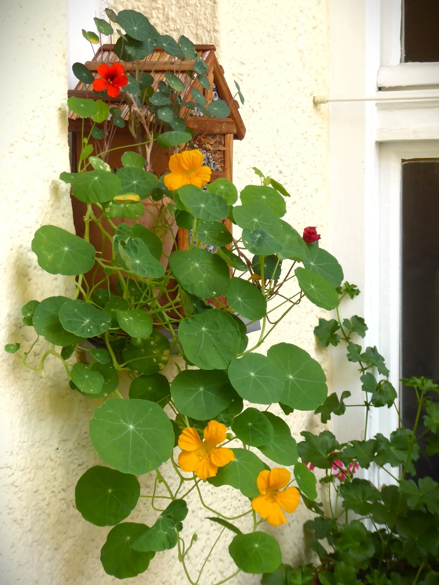 P1220930.webp