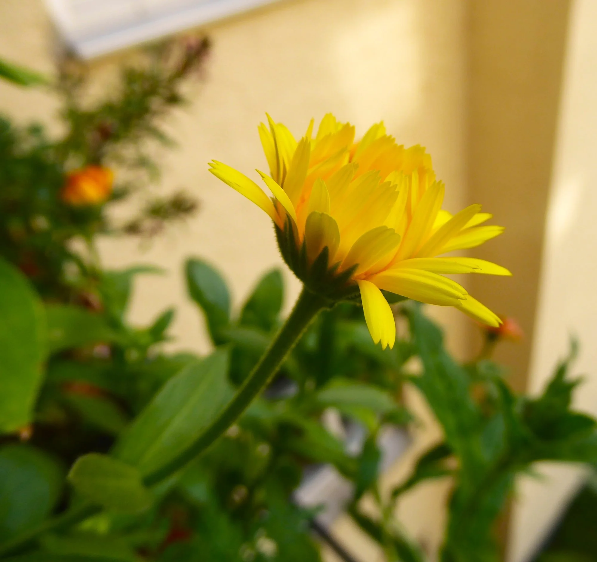 P1220959.webp
