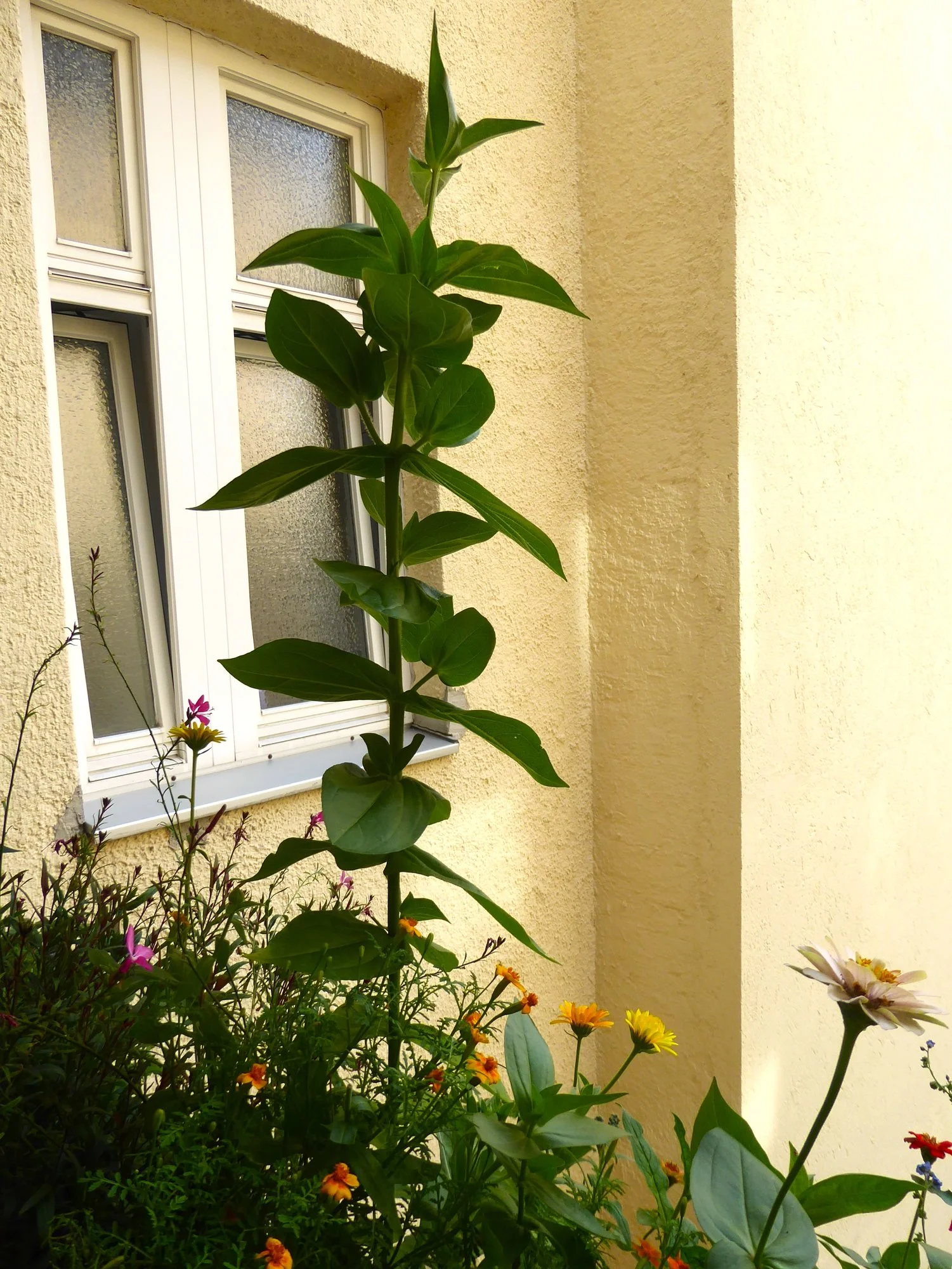 P1220961.webp