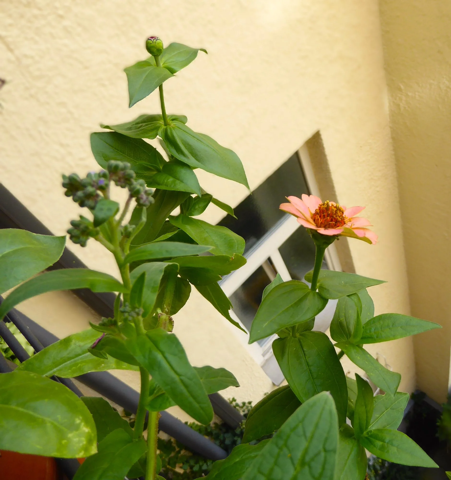 P1220962.webp