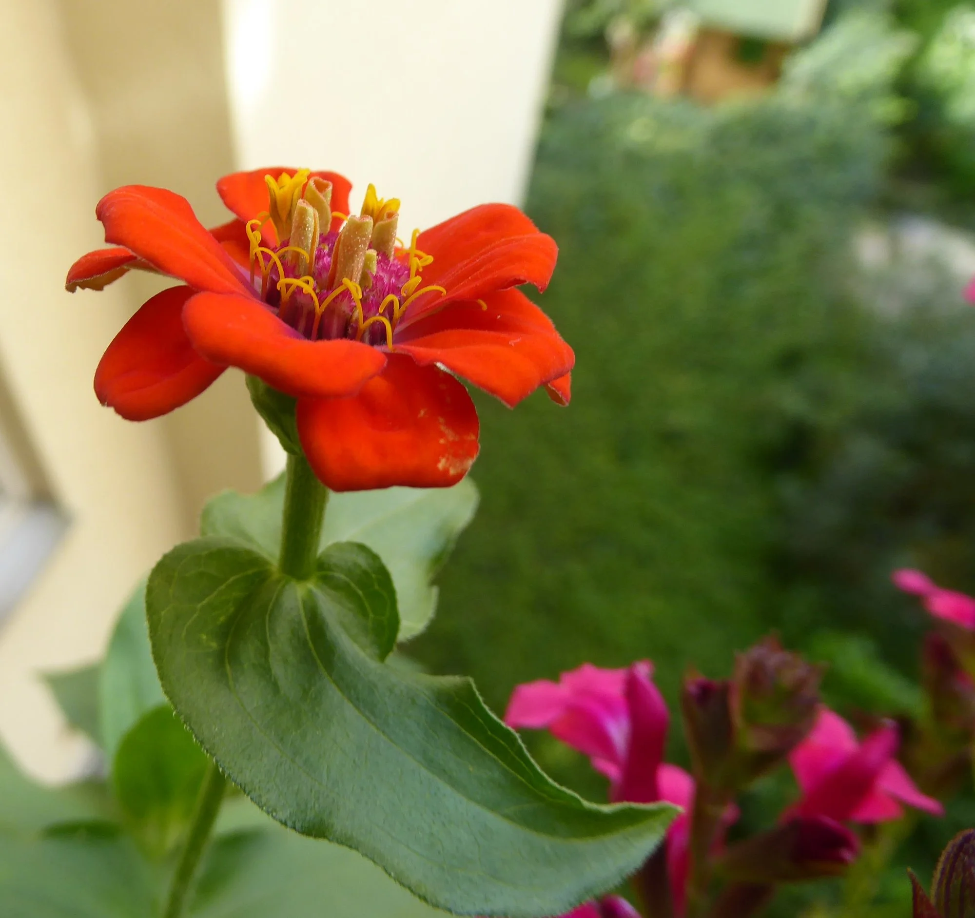 P1220963.webp